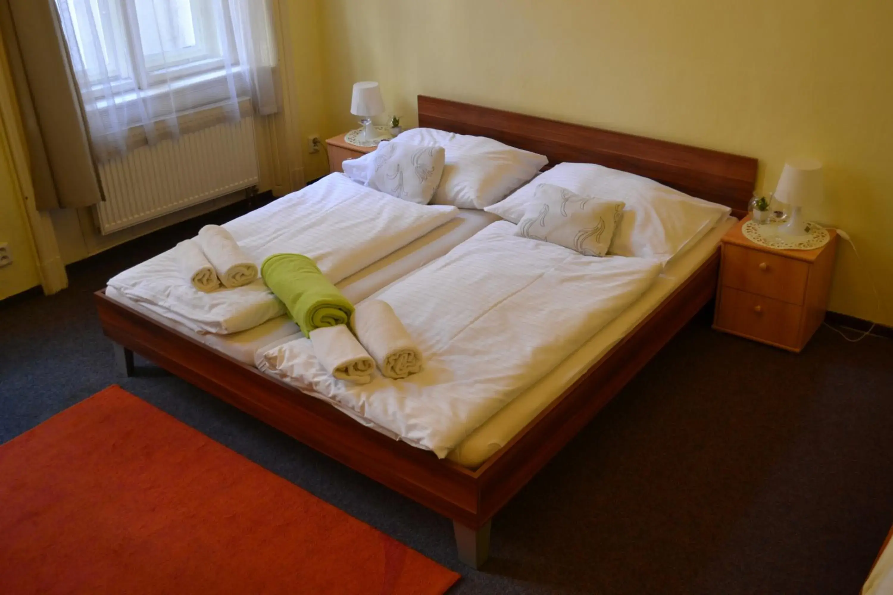 Double Room in Hotel U dvou zlatých klíčů Double Room in Hotel U dvou zlatých klíčů