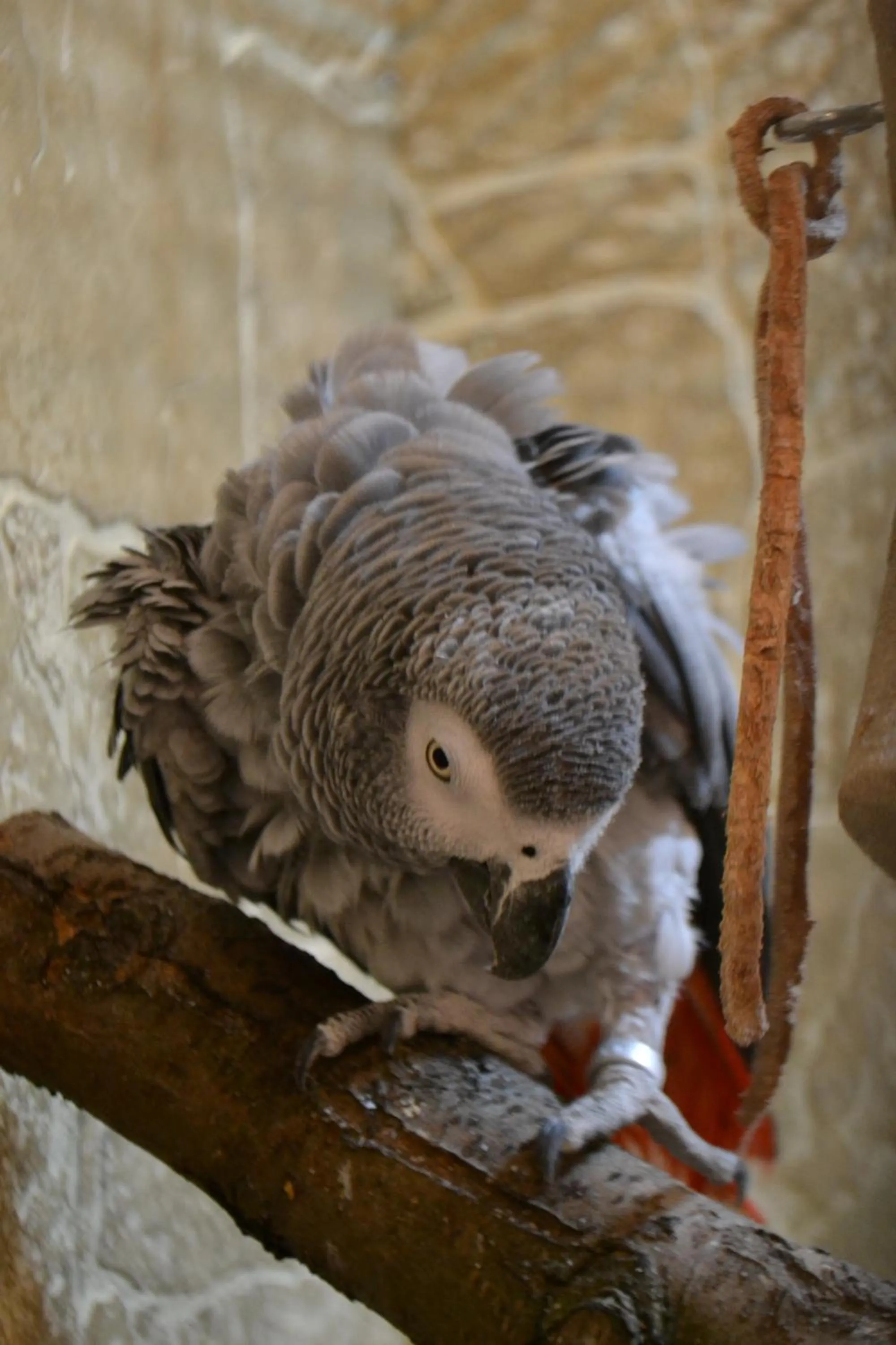 Hotel U dvou zlatých klíčů