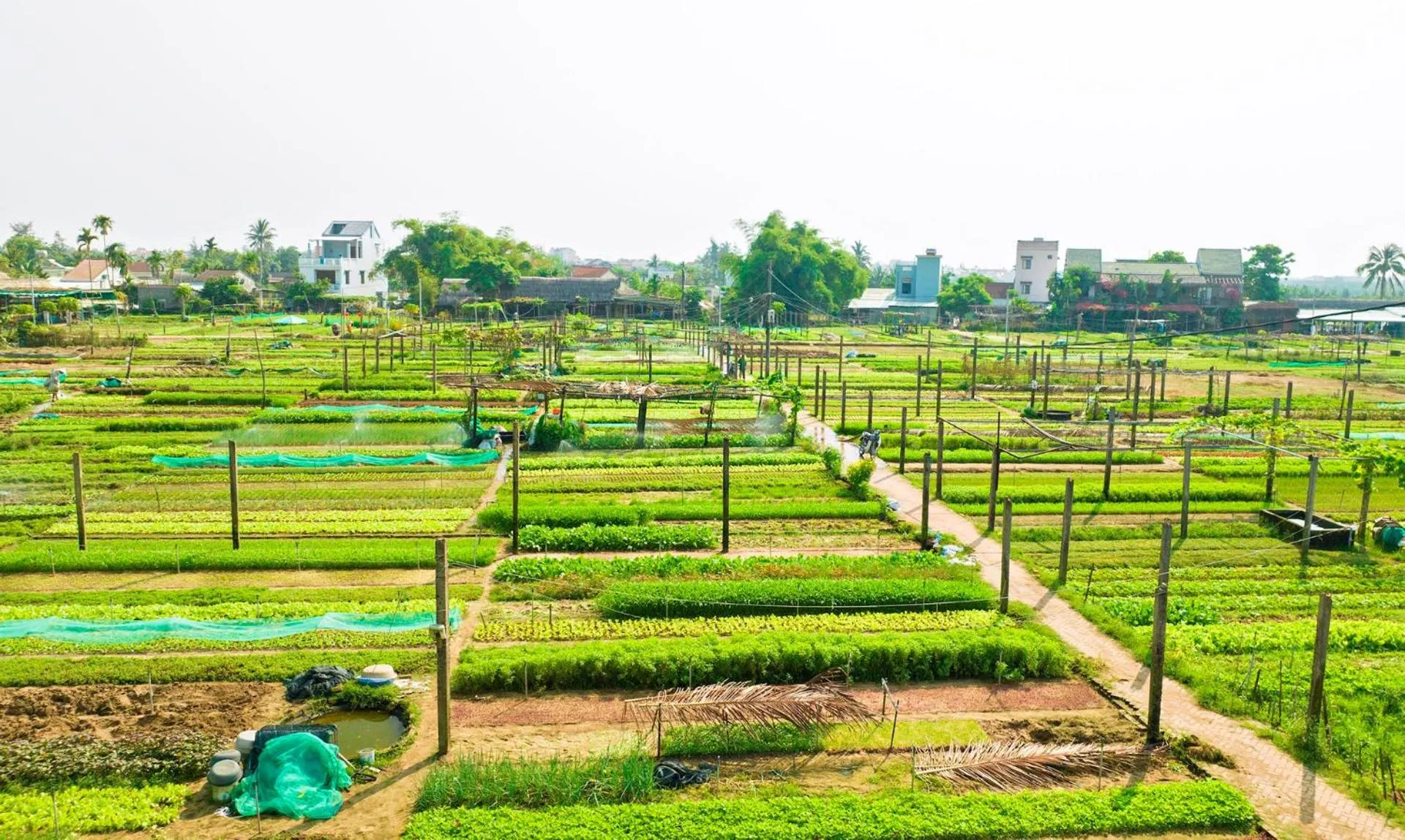 Nearby landmark in Hestia HaMy Beach House
