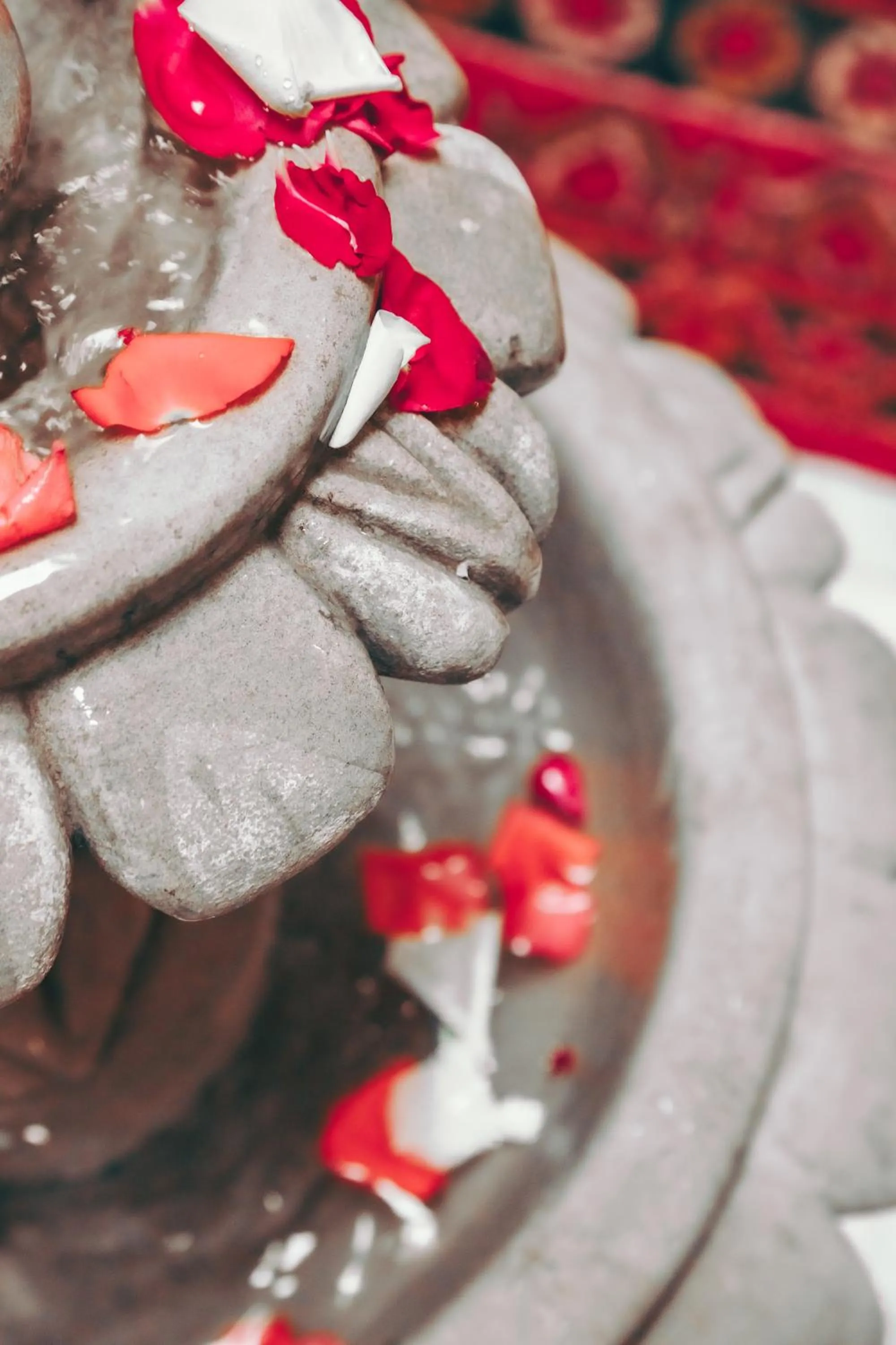 Decorative detail in Riad Tislite & SPA