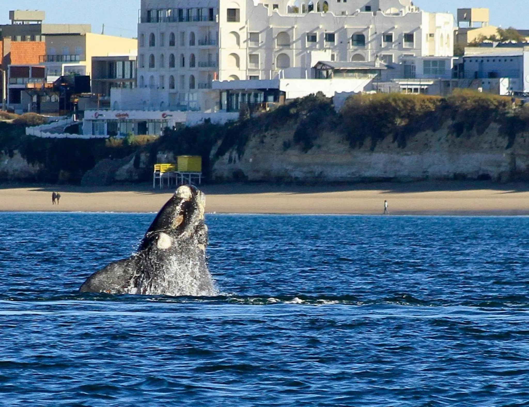 Hotel y Casino Del Río - Las Grutas