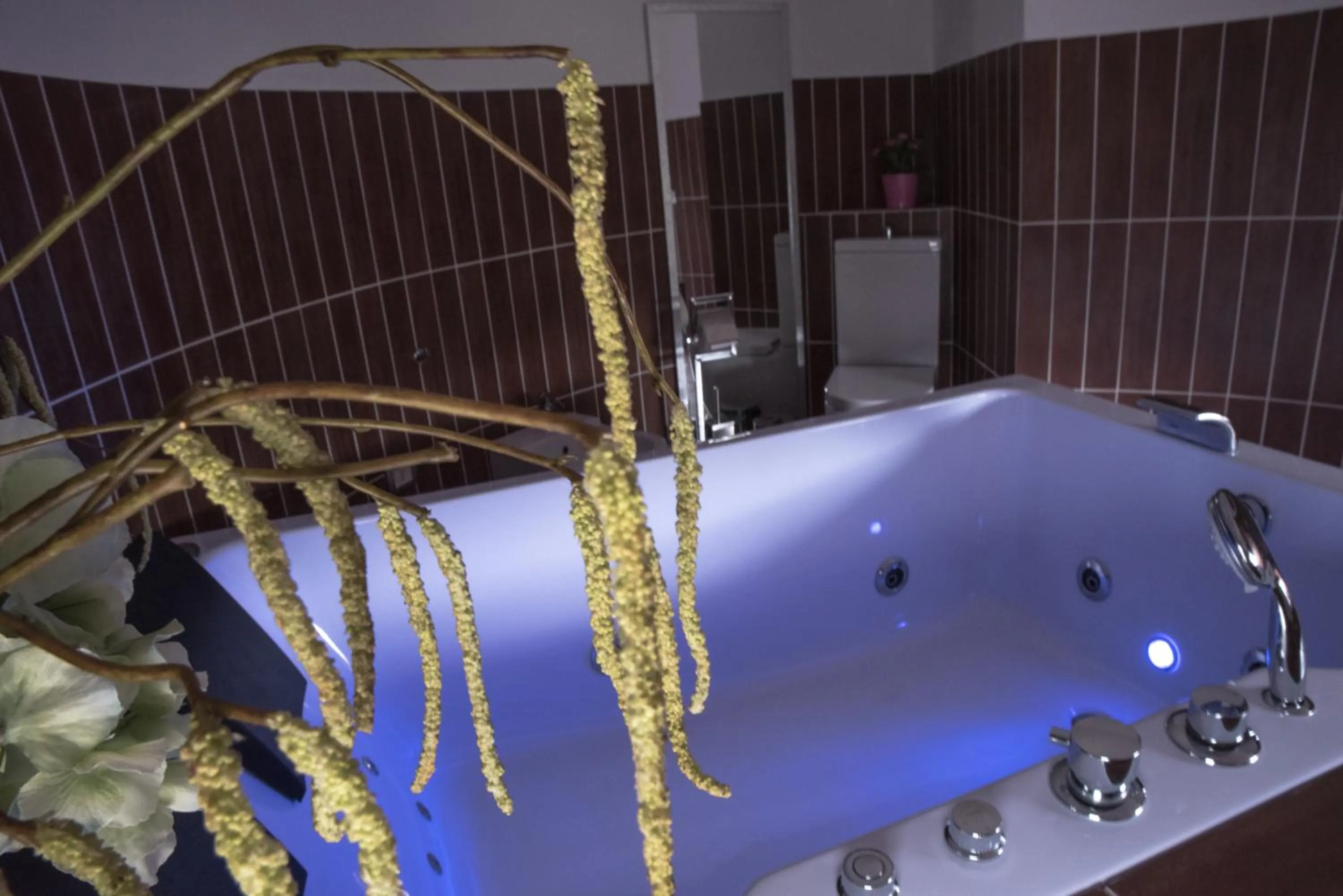 Bathroom in Castello