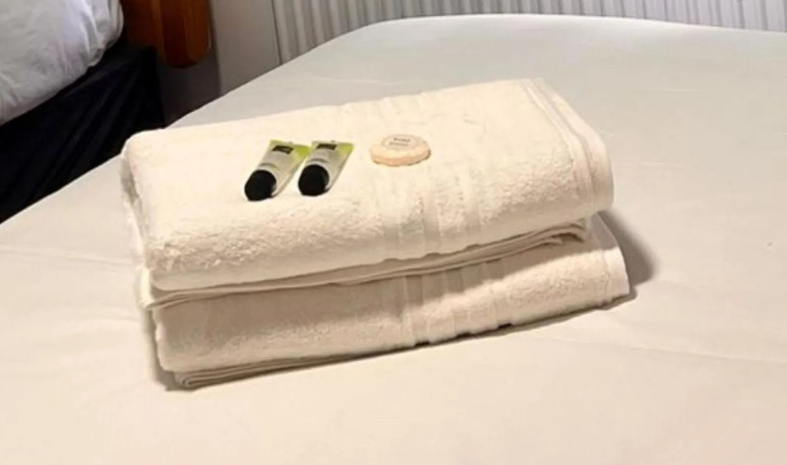 Guests in Romany House Hotel