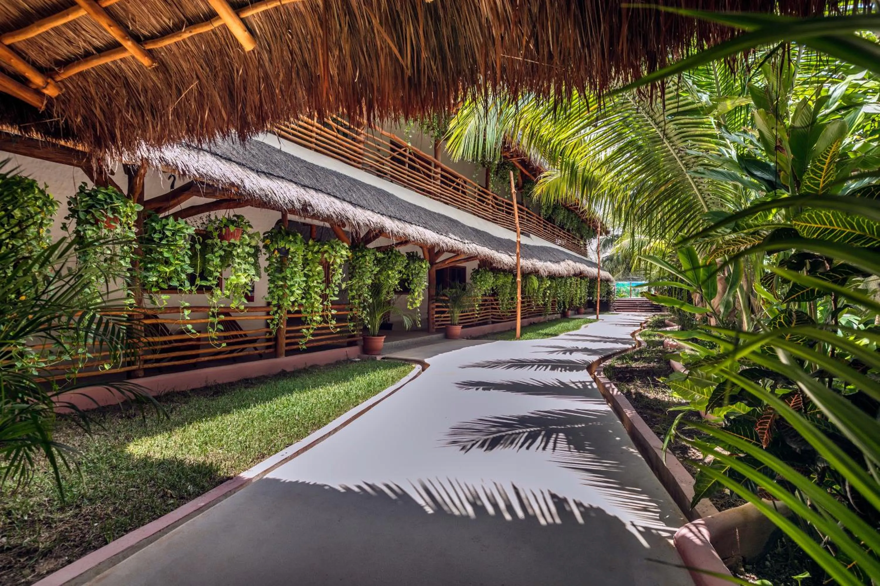 Garden in La Palma Holbox