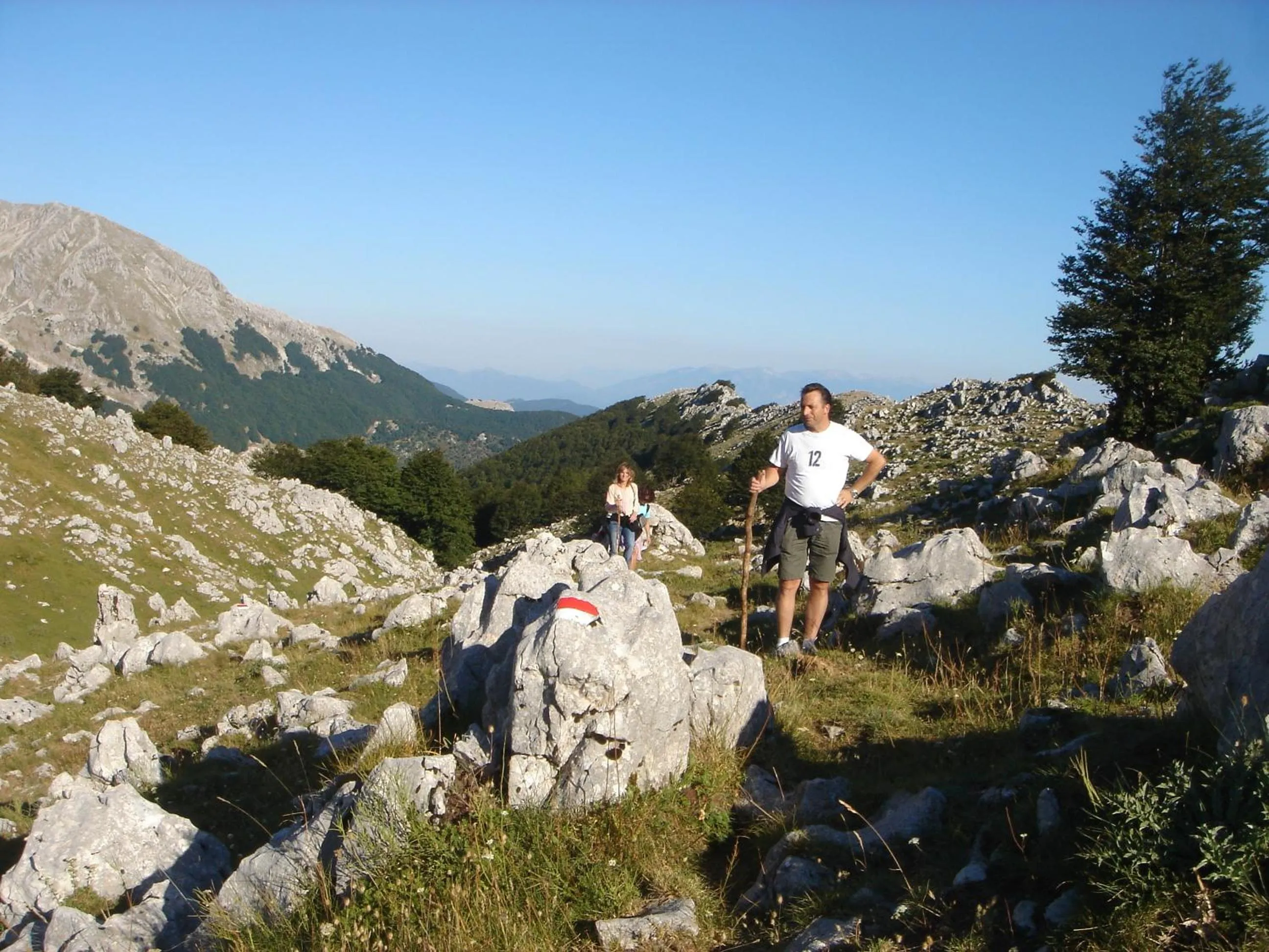 La Pinetina