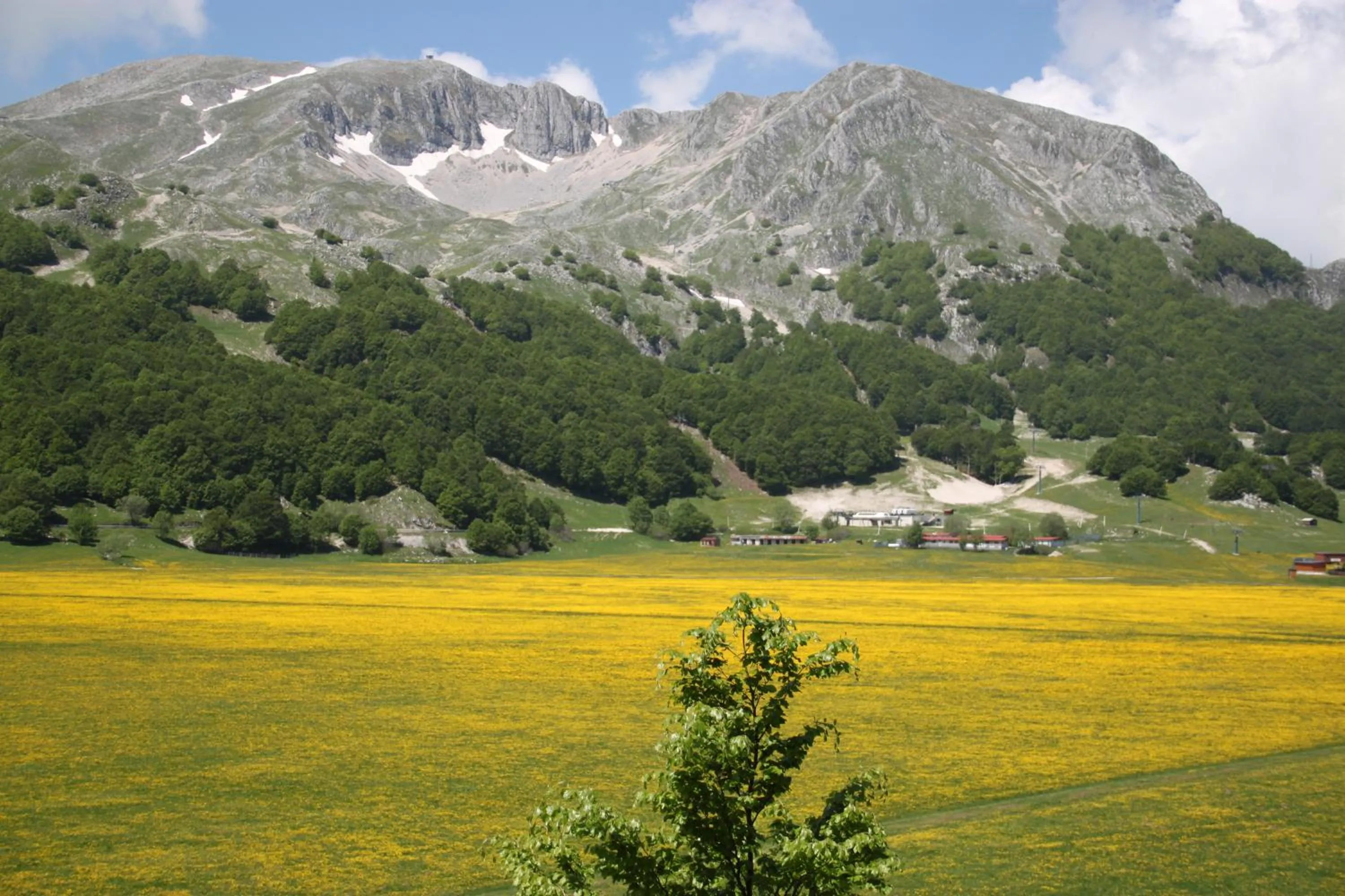 On site in La Pinetina