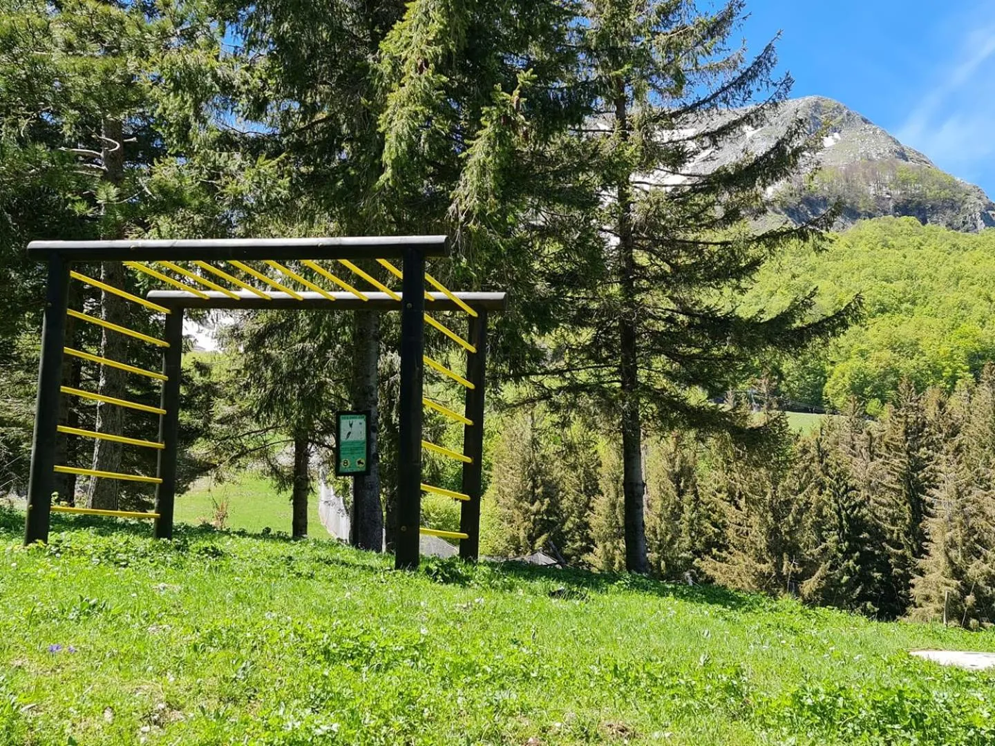 La Pinetina