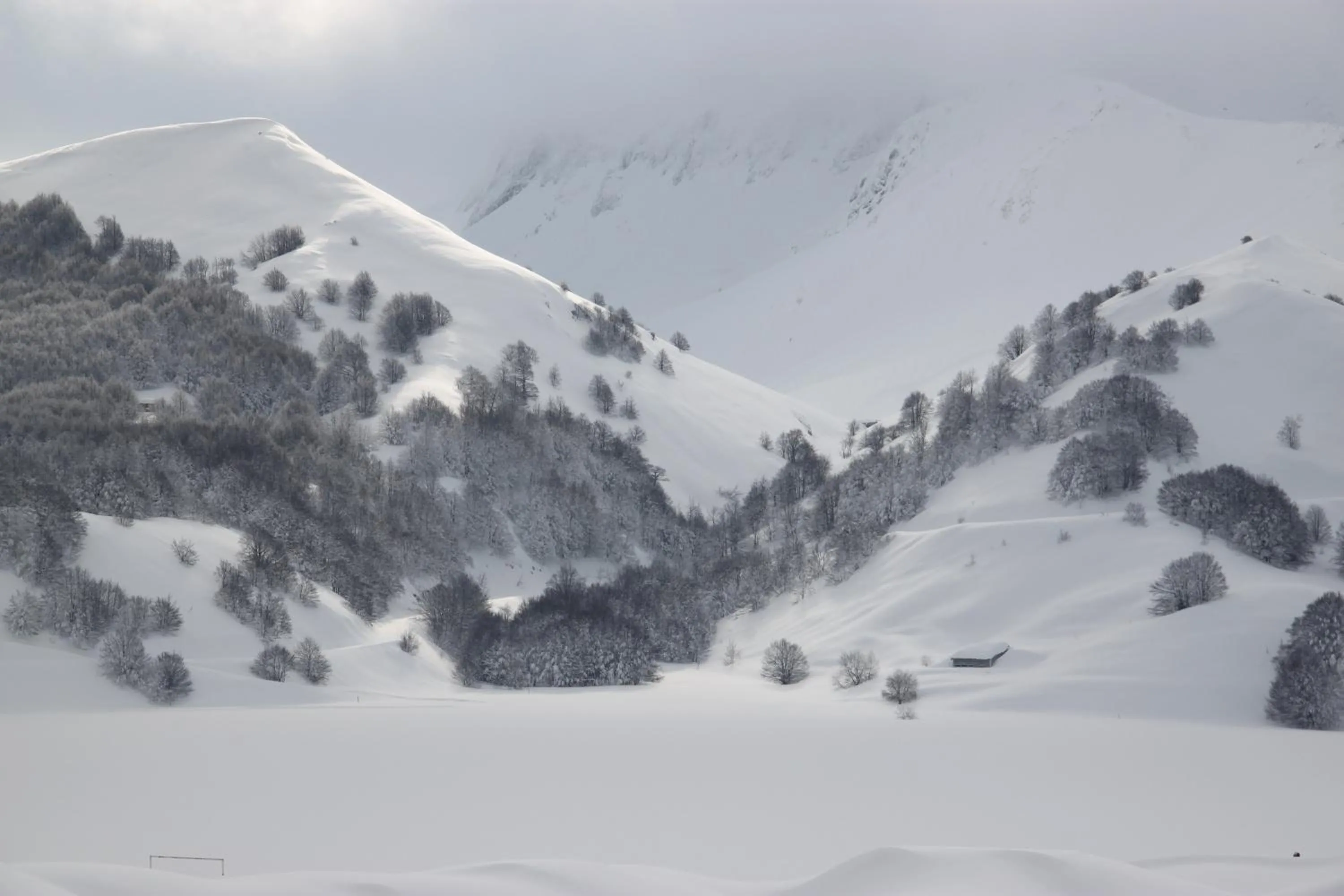 Area and facilities in La Pinetina