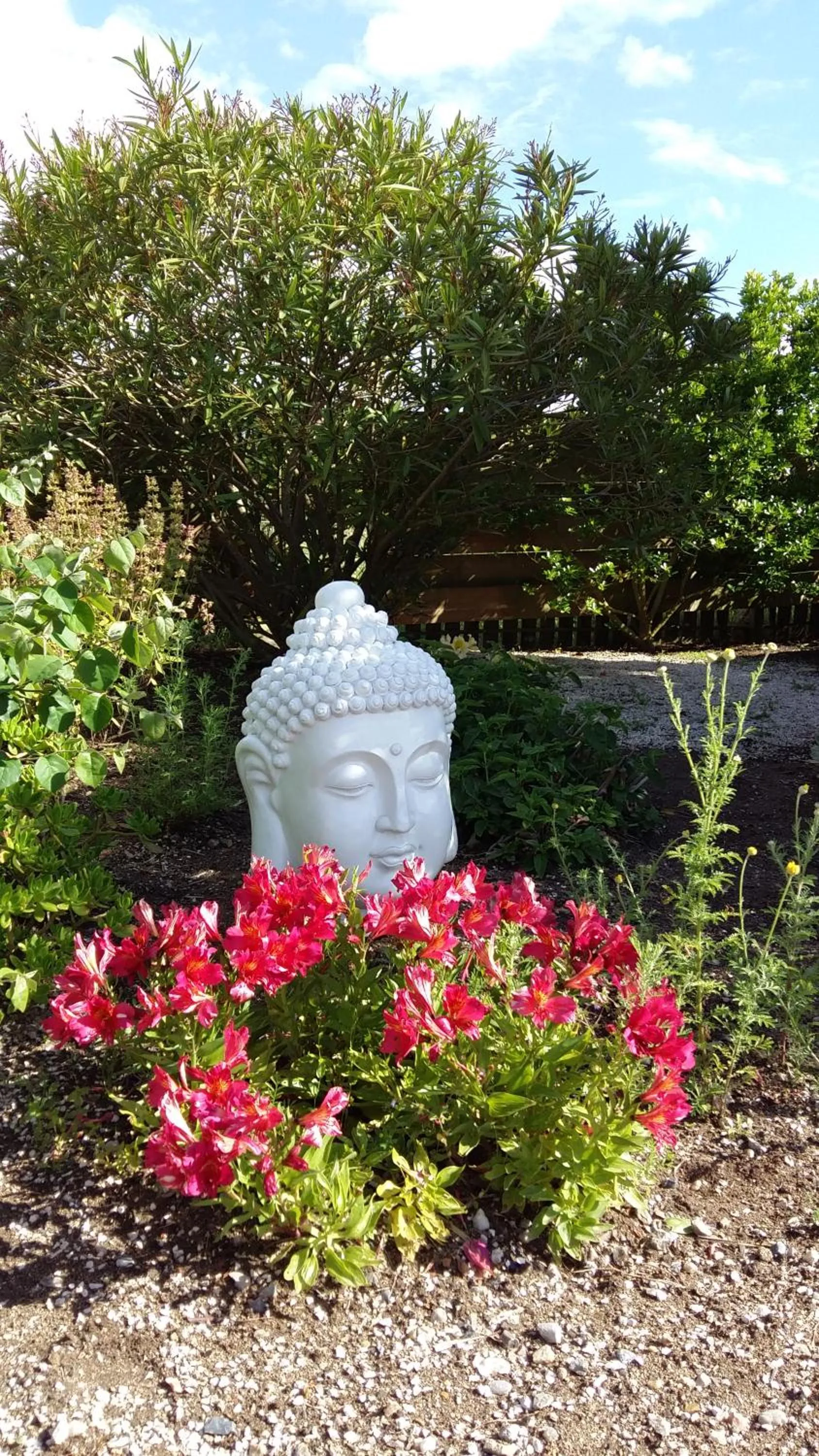 Garden view in Casa o Futuro