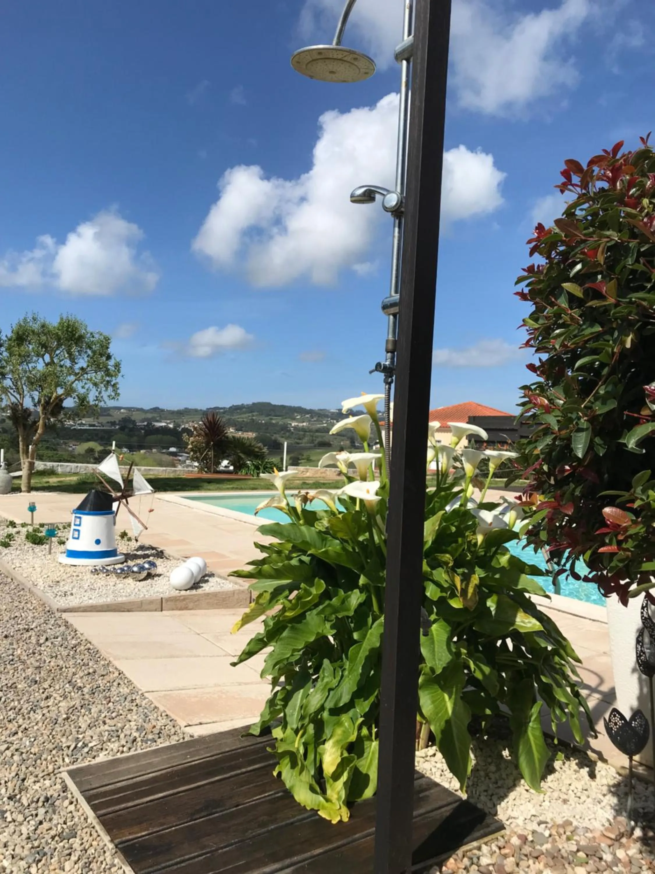 Swimming pool in Casa o Futuro
