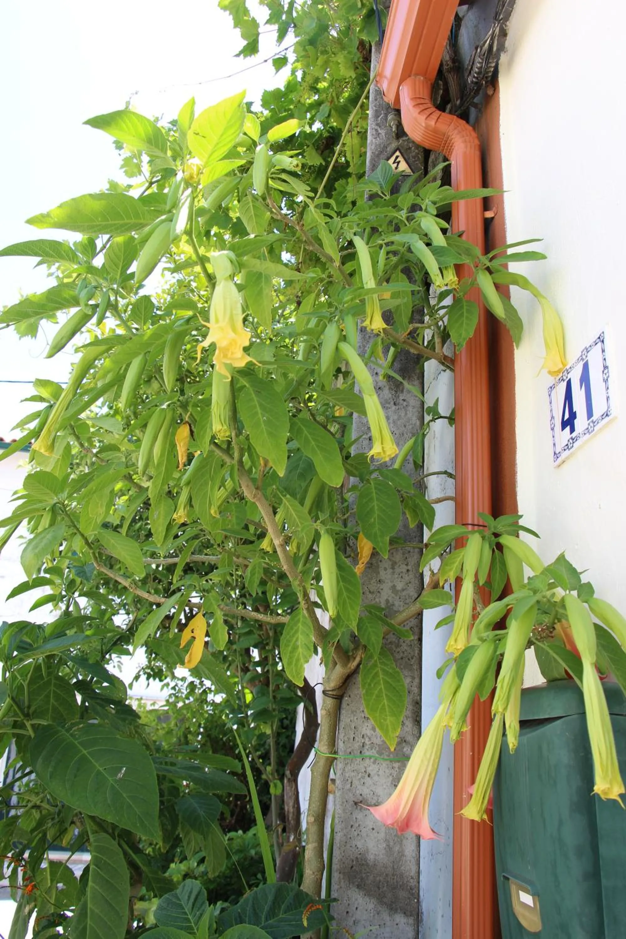 Facade/entrance in Casa o Futuro