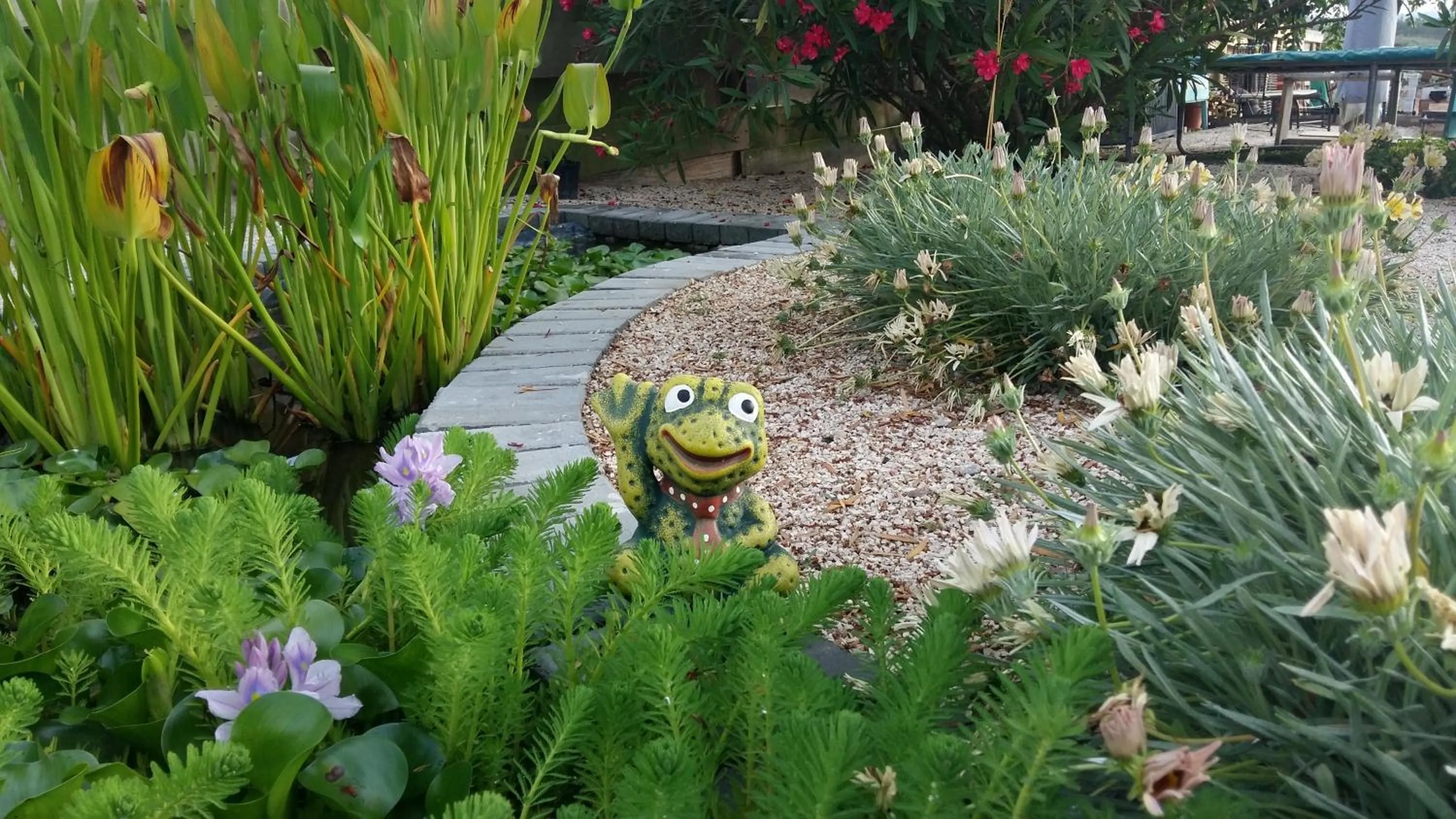 Garden in Casa o Futuro