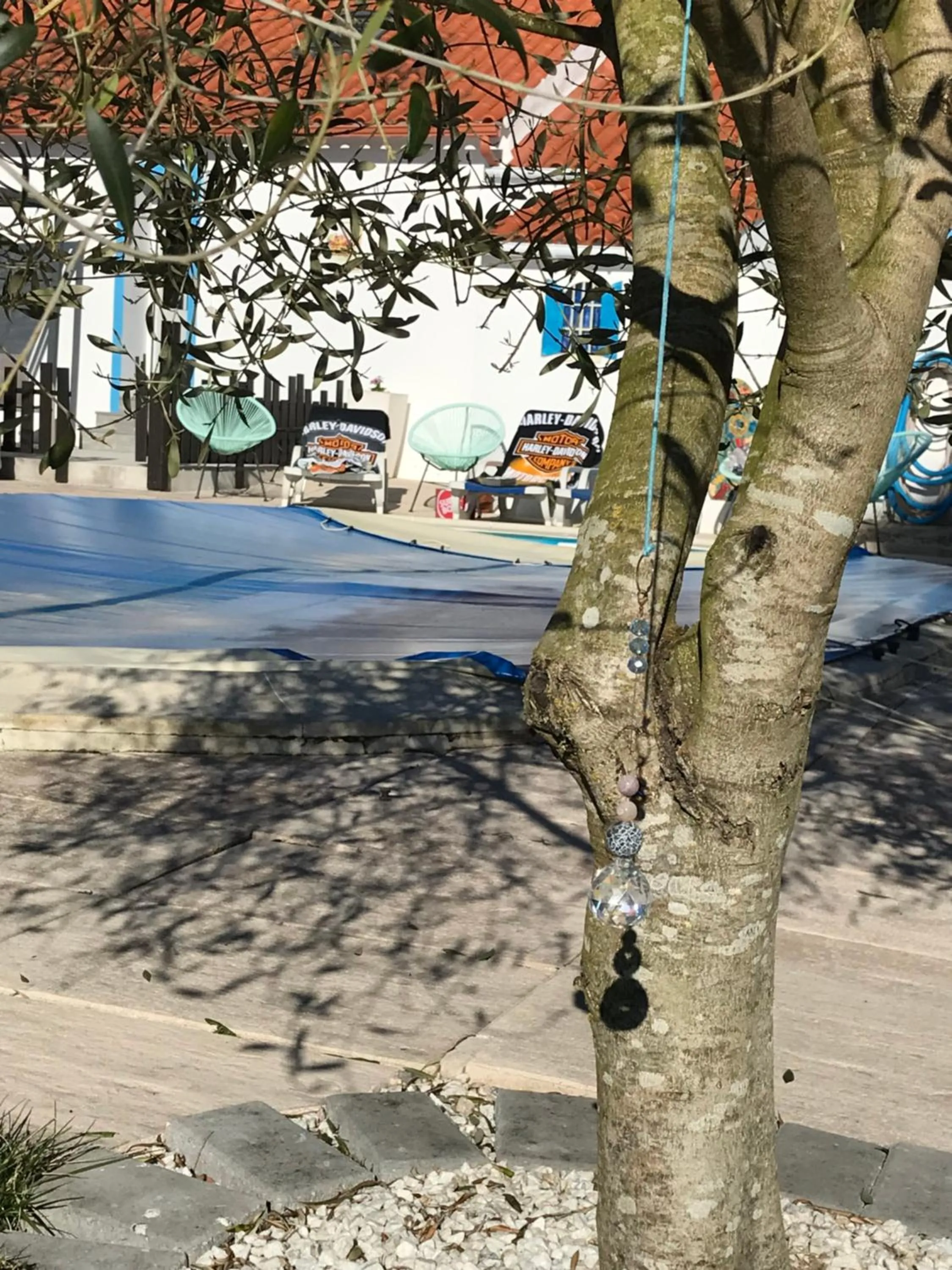 Swimming pool in Casa o Futuro