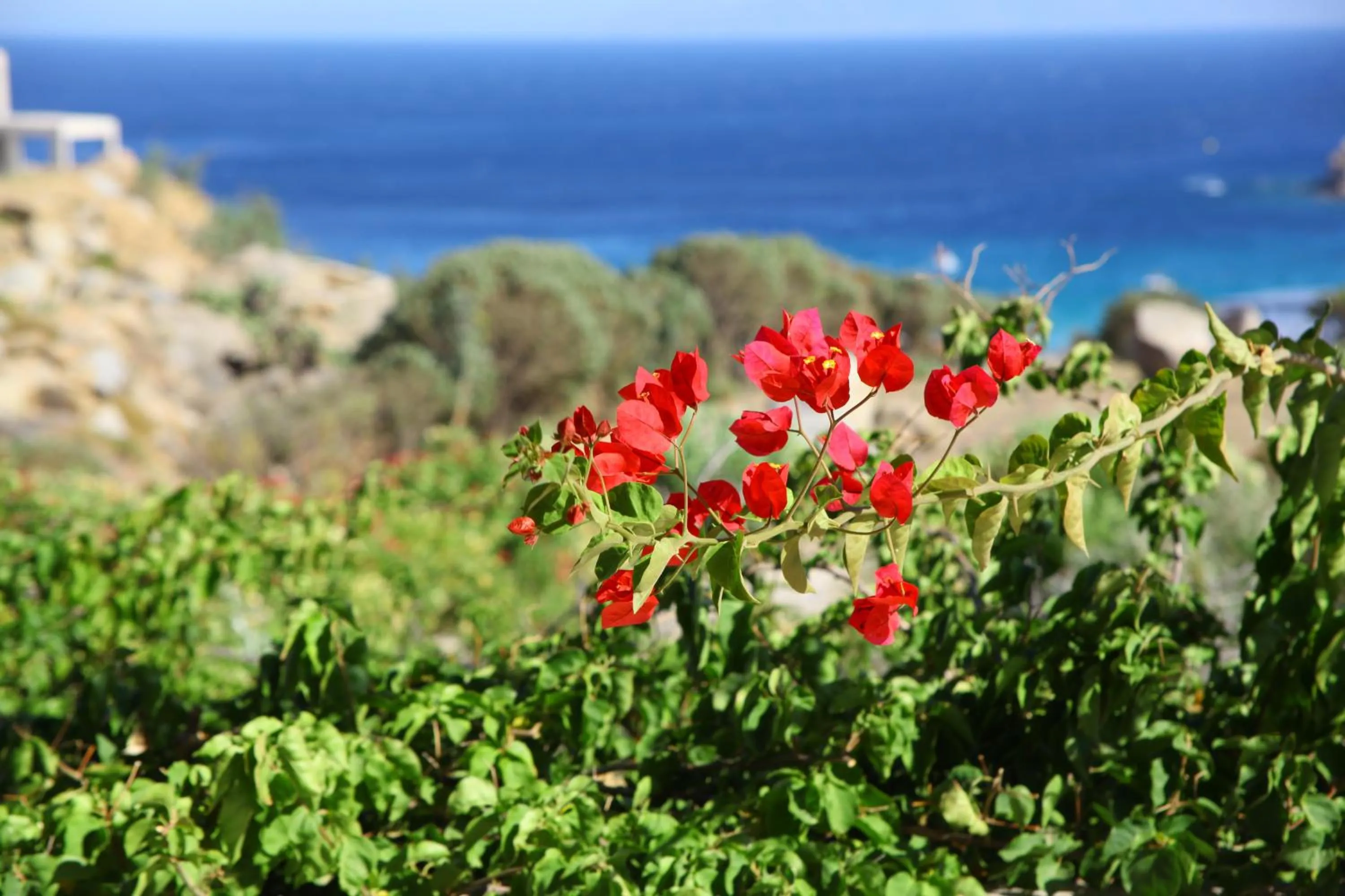 Sea view in Nama Villas