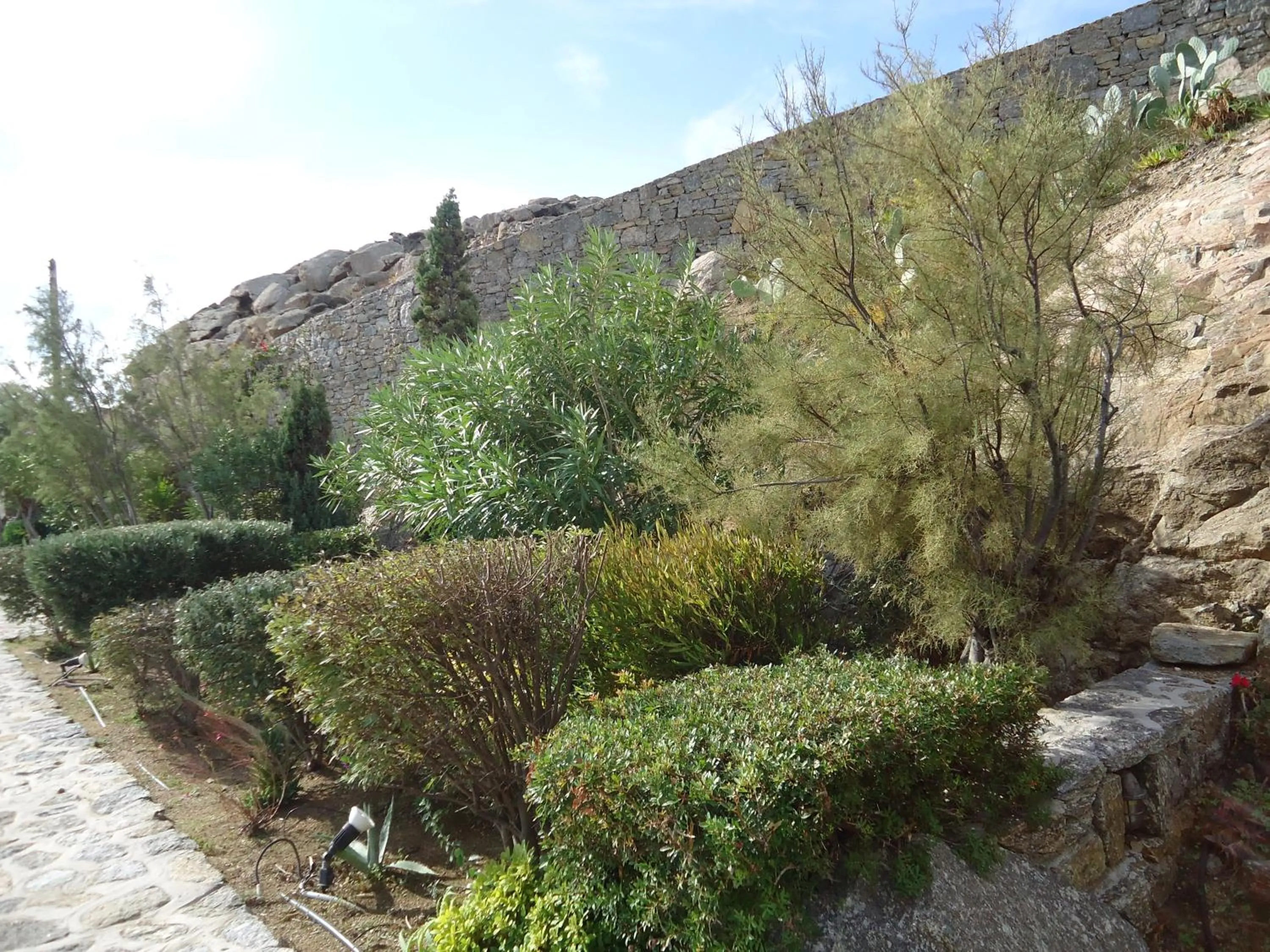 Garden in Nama Villas