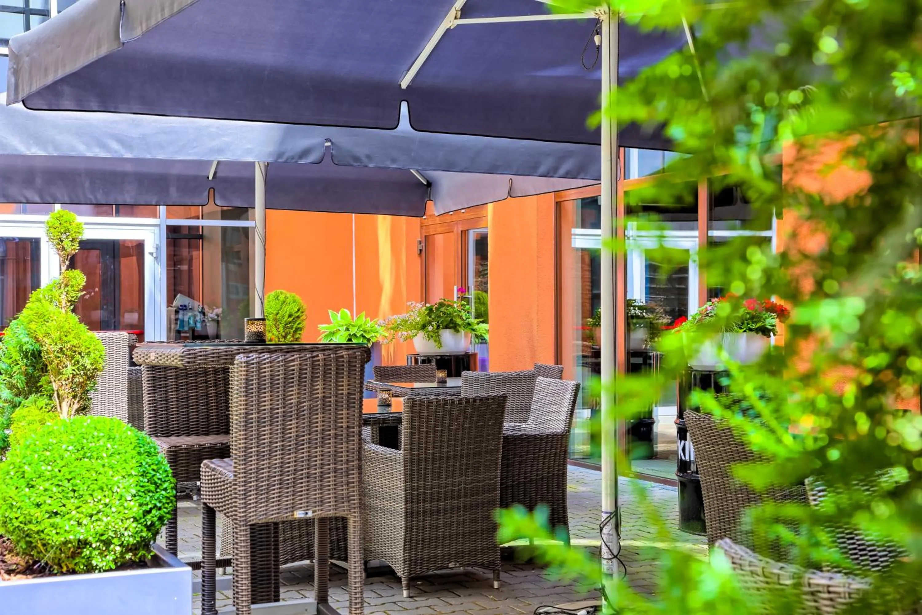 Patio in Mercure Bydgoszcz Sepia