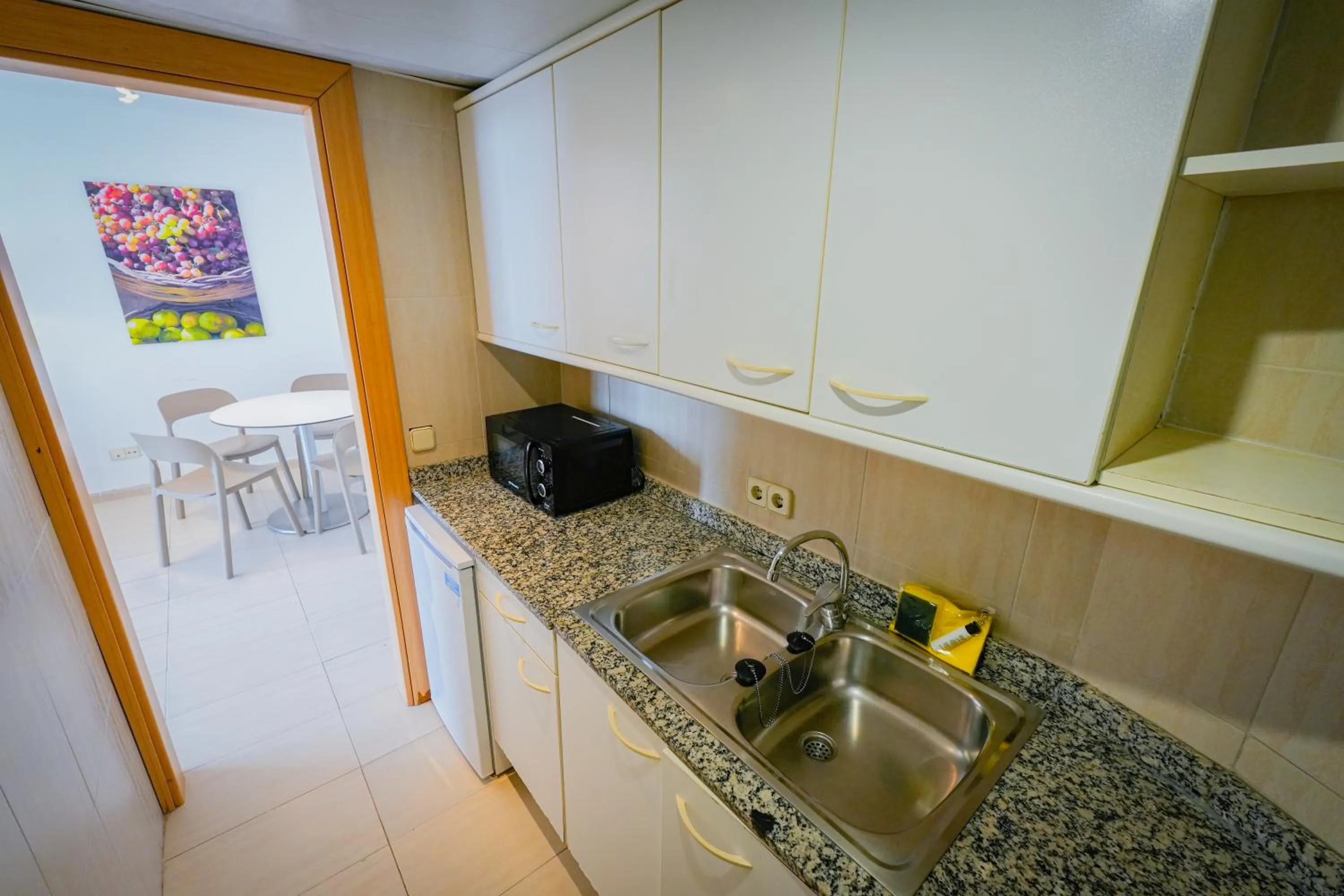 kitchen in Apartamentos Vistasol