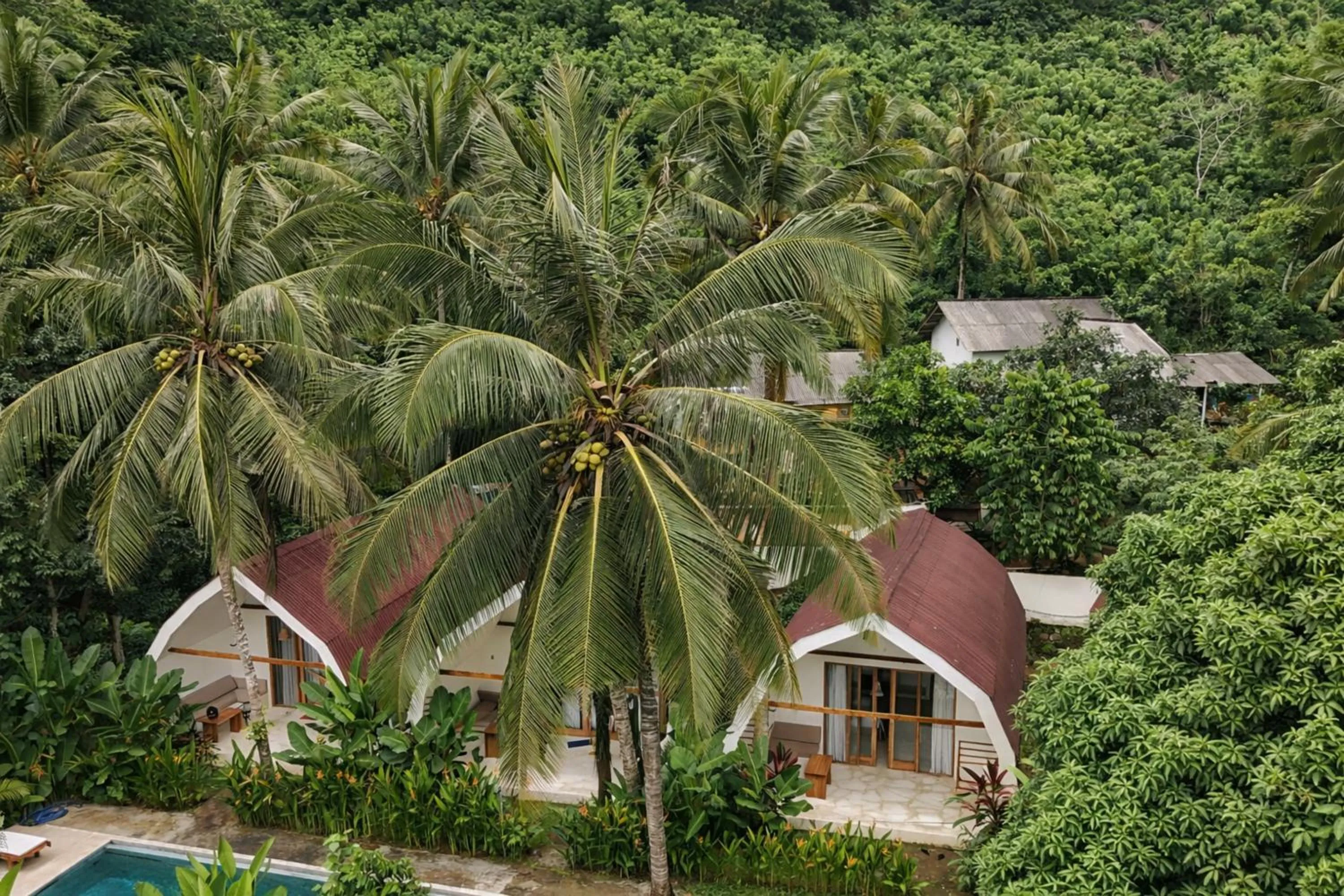 Off site in Jungle Bungalows