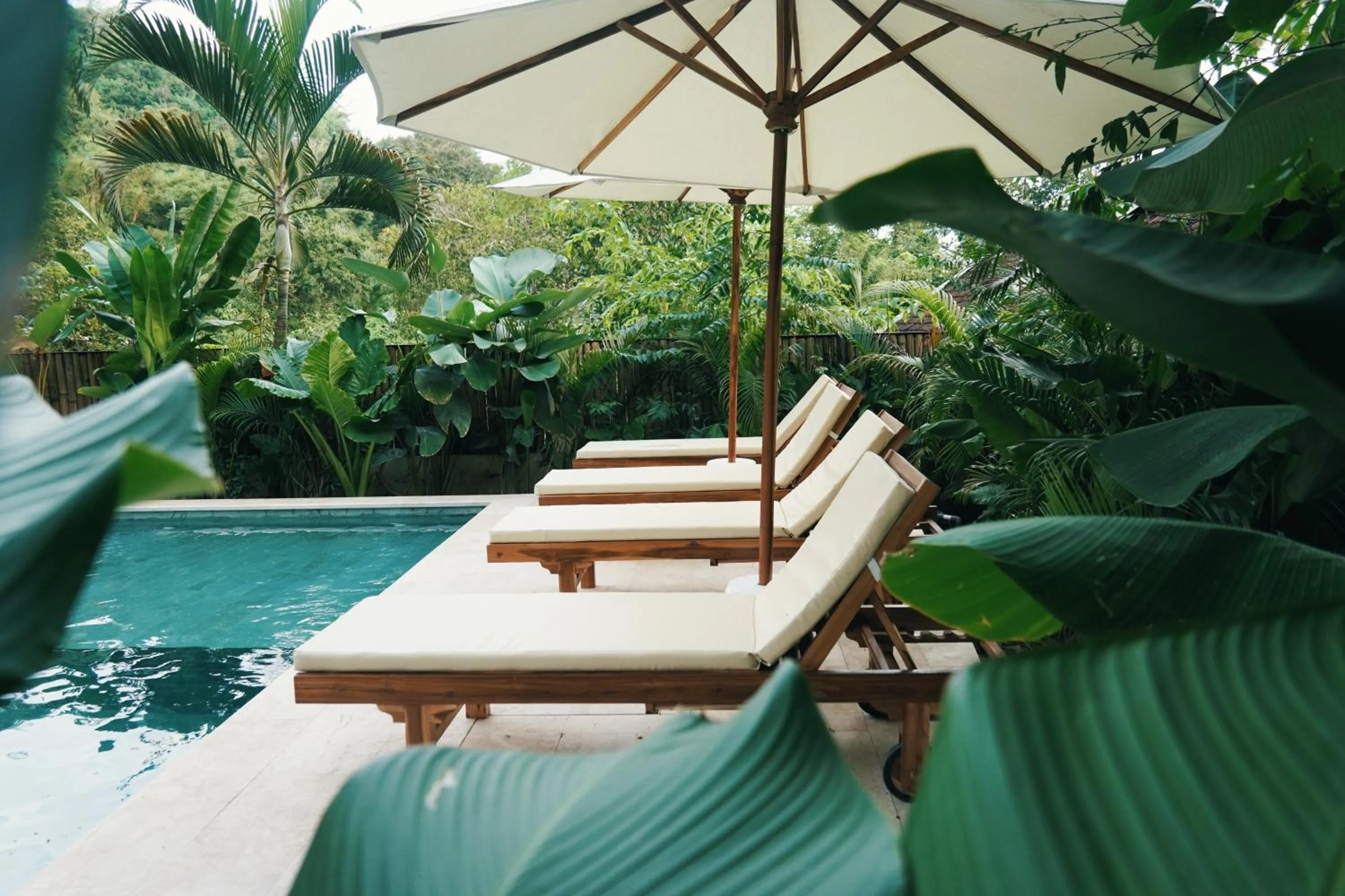 Swimming pool in Jungle Bungalows