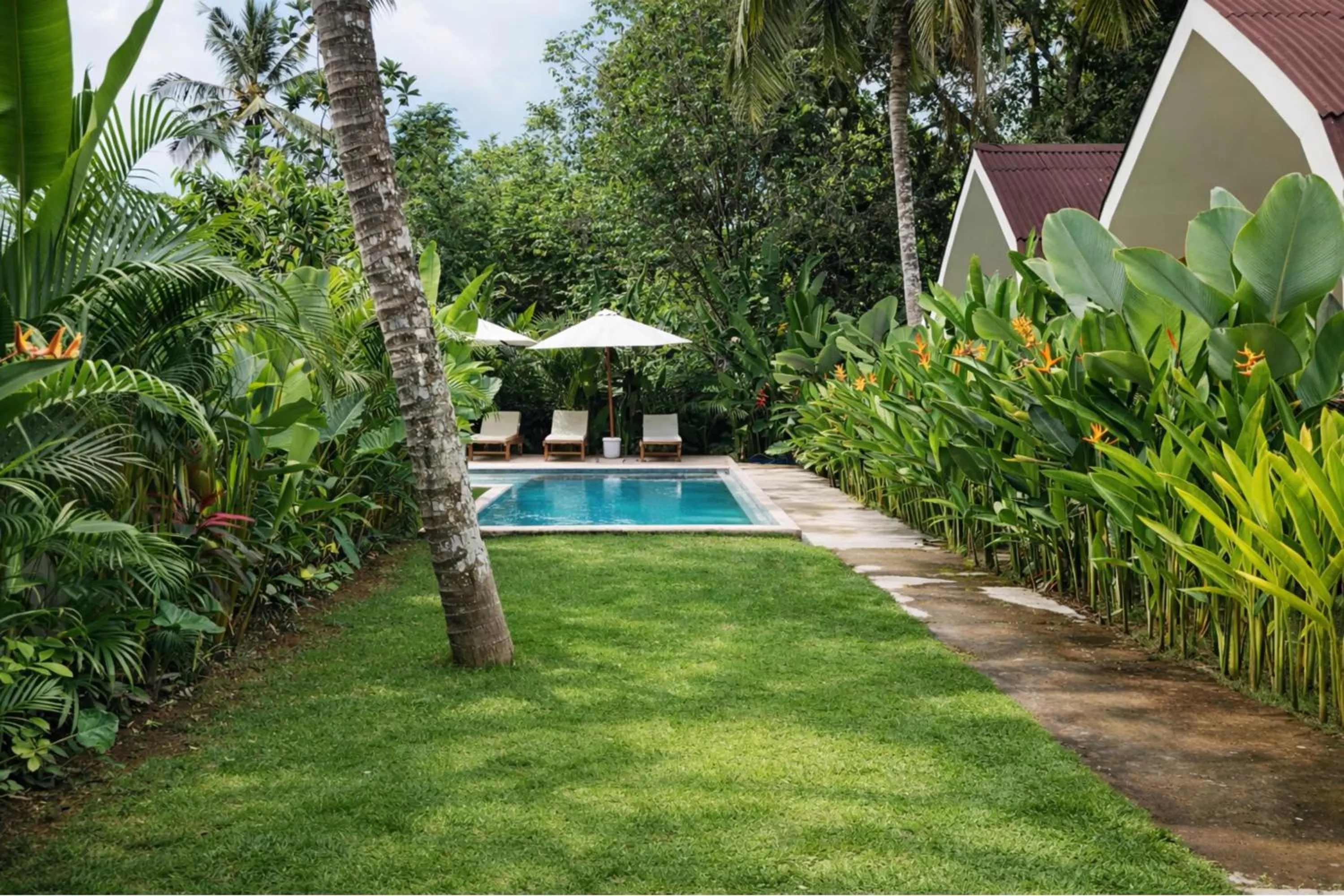 Garden in Jungle Bungalows