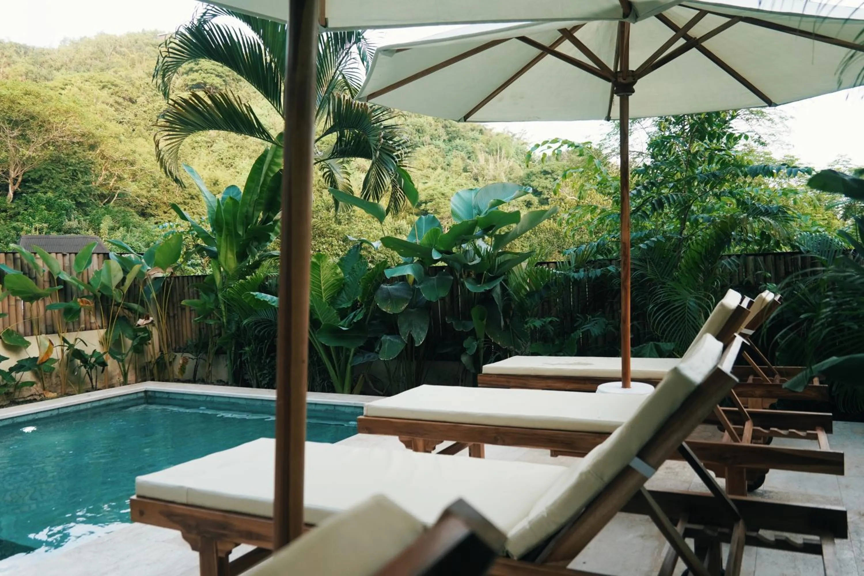 Swimming pool in Jungle Bungalows