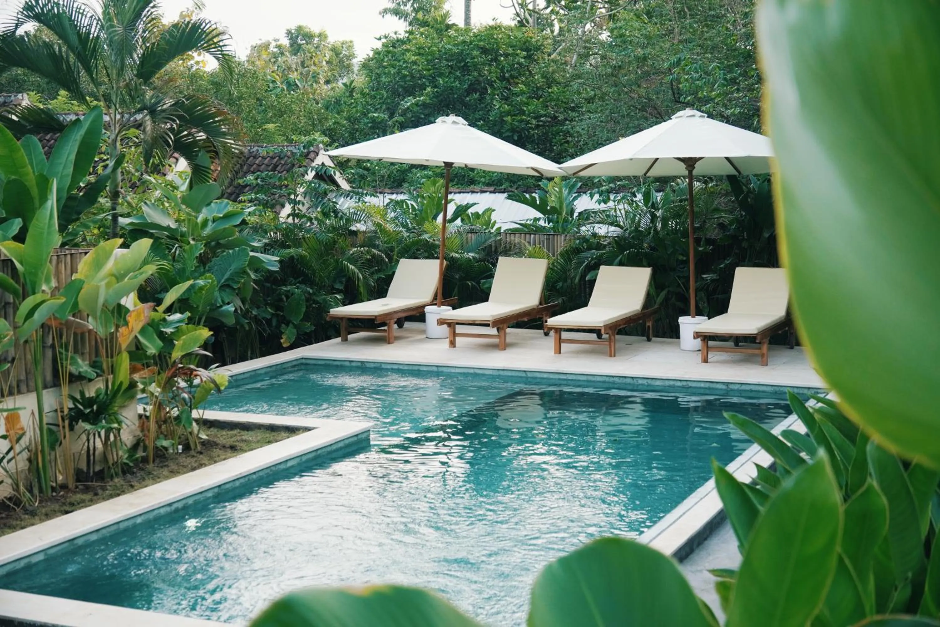 Garden view in Jungle Bungalows