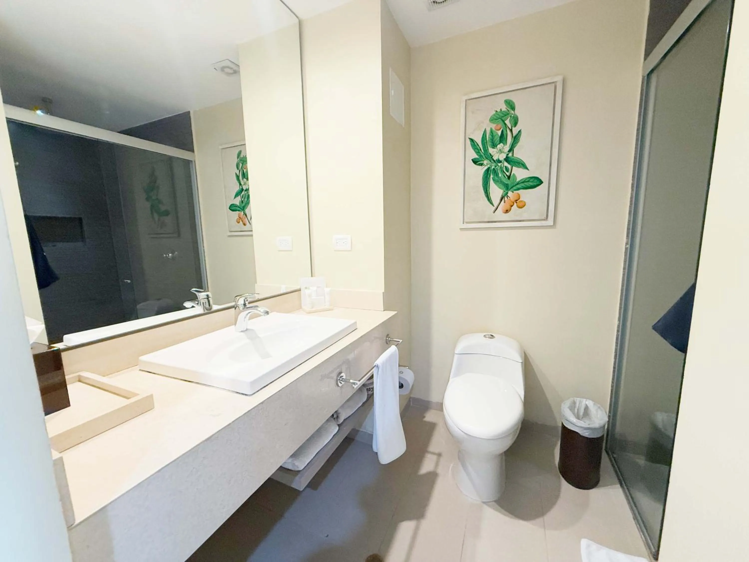 Bathroom in Wyndham Garden Barranquilla