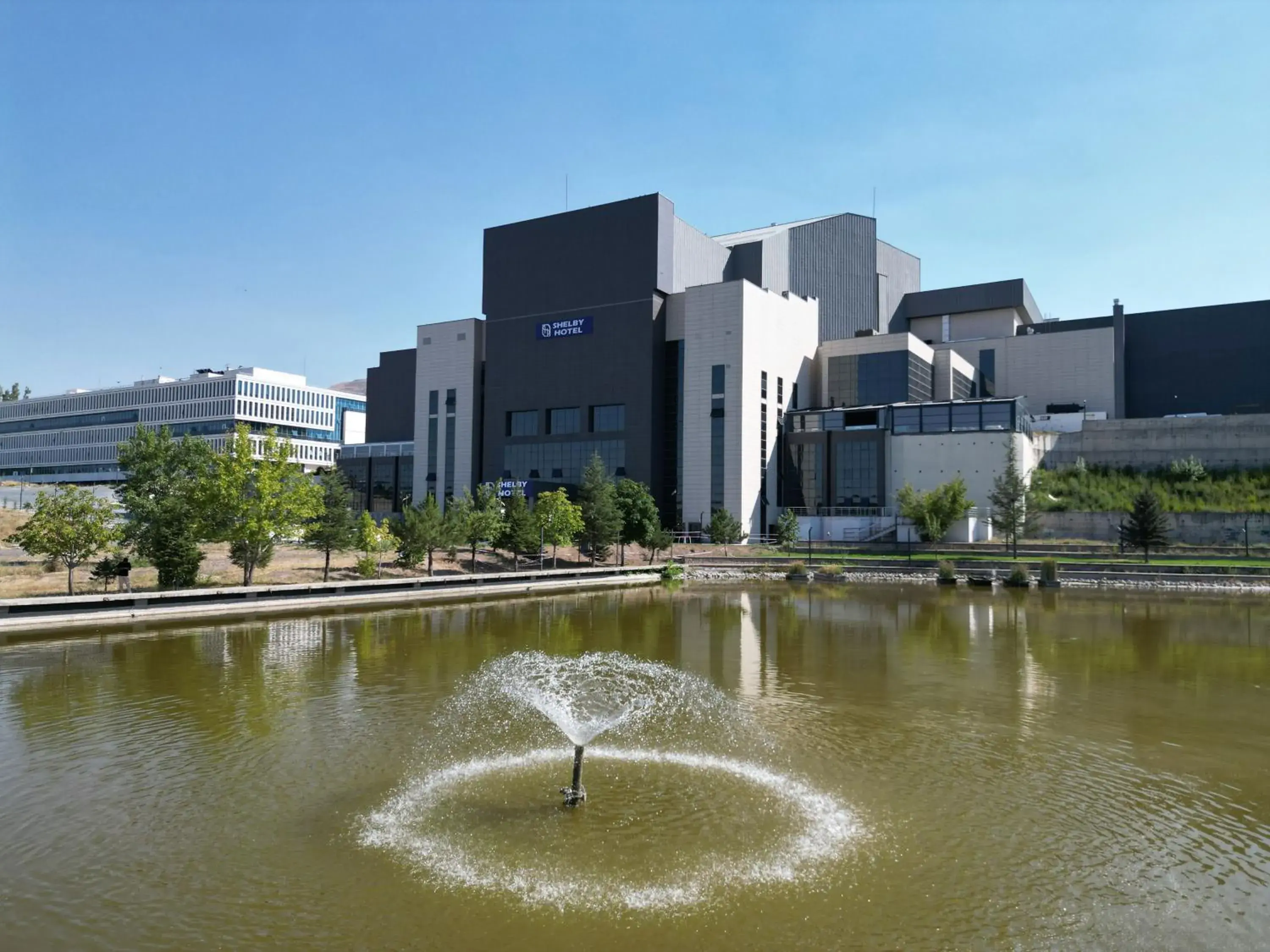 Shelby Hotel Shelby Hotel