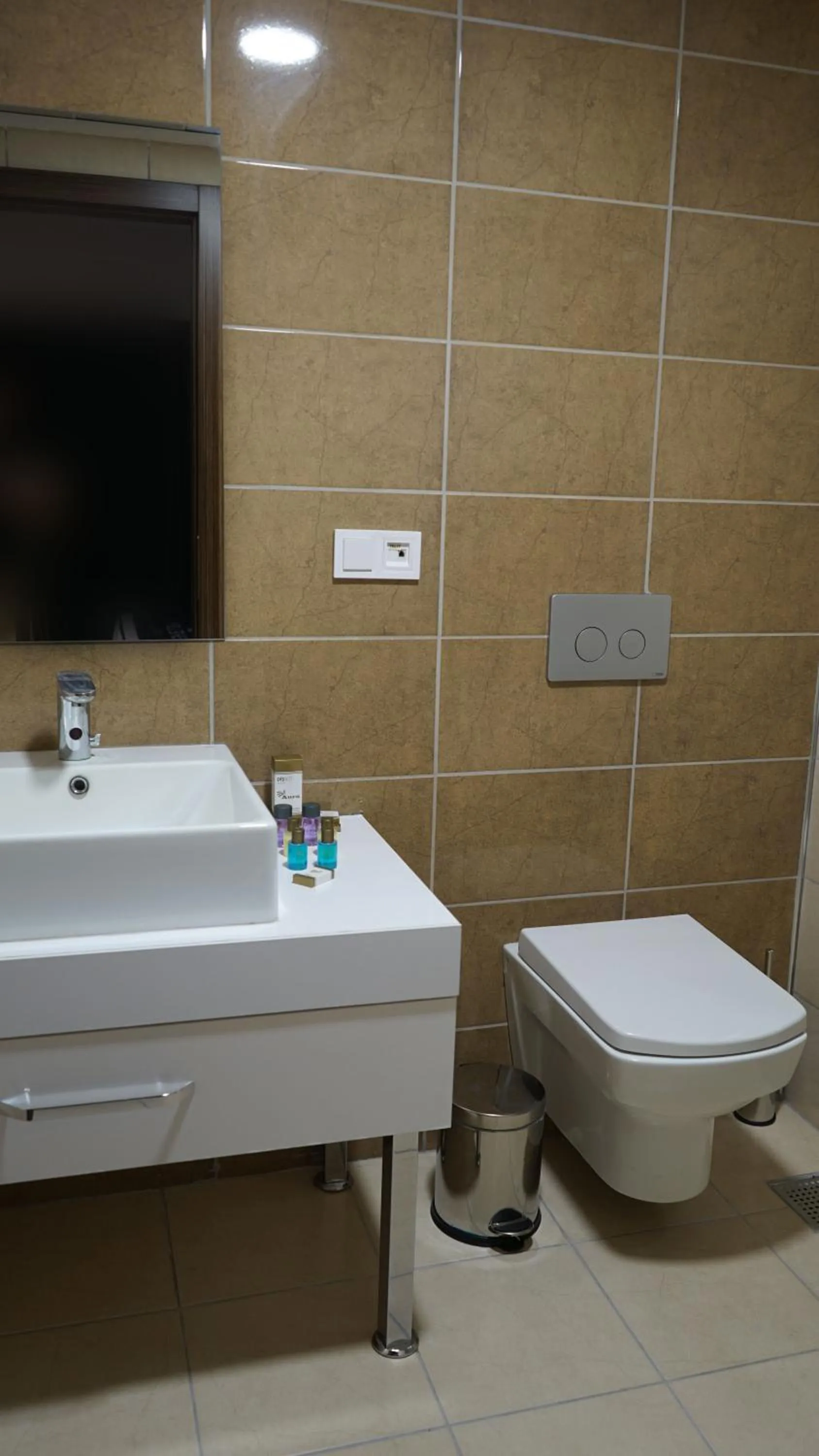 Toilet in Shelby Hotel