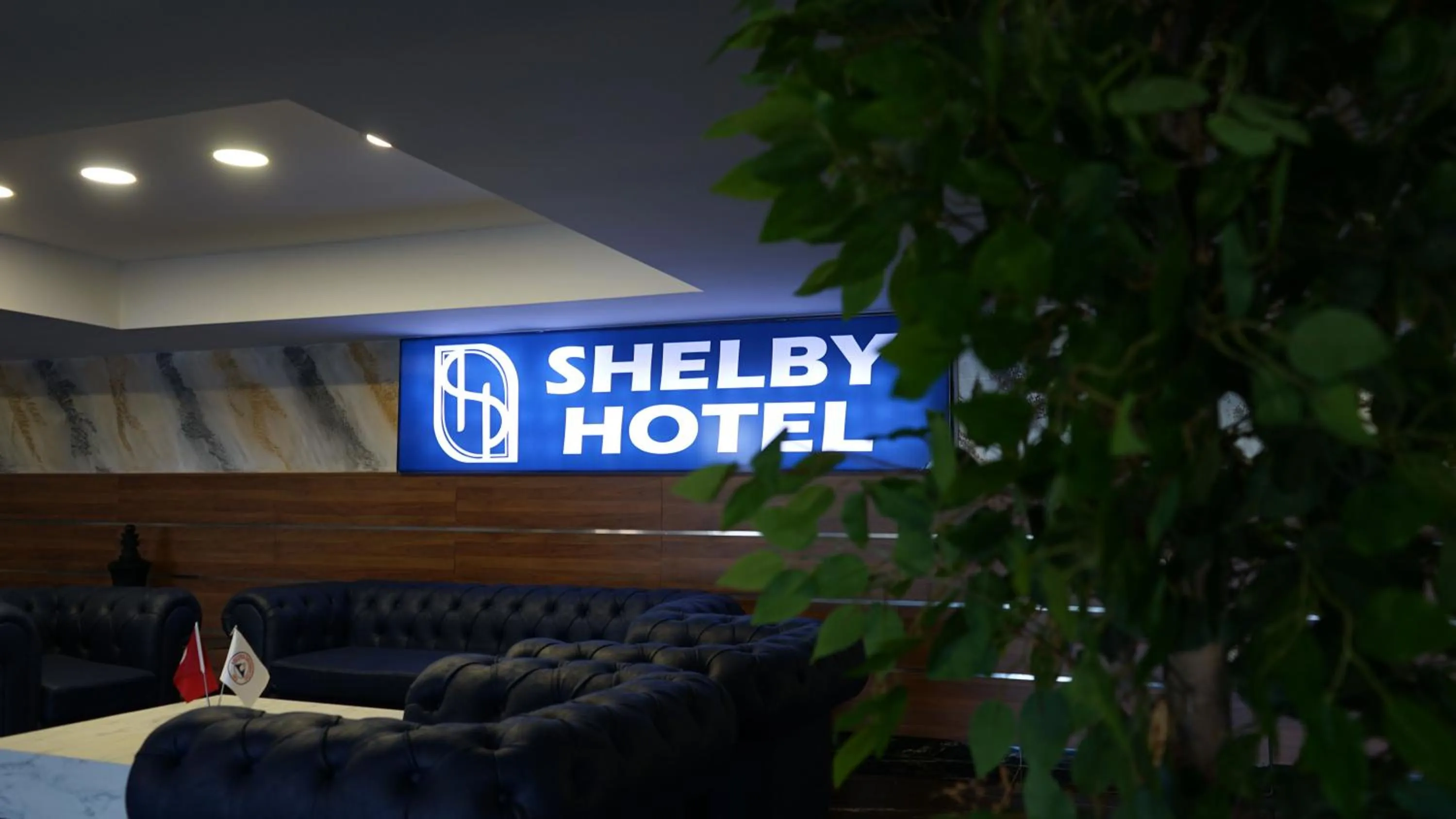 Seating area in Shelby Hotel