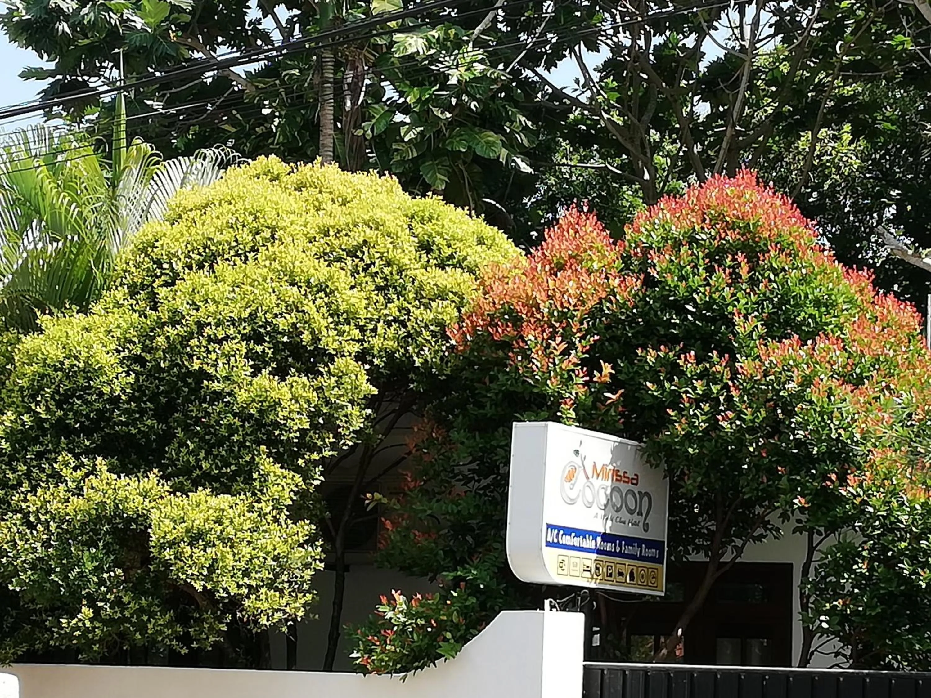 Property logo or sign in Mirissa Cocoon