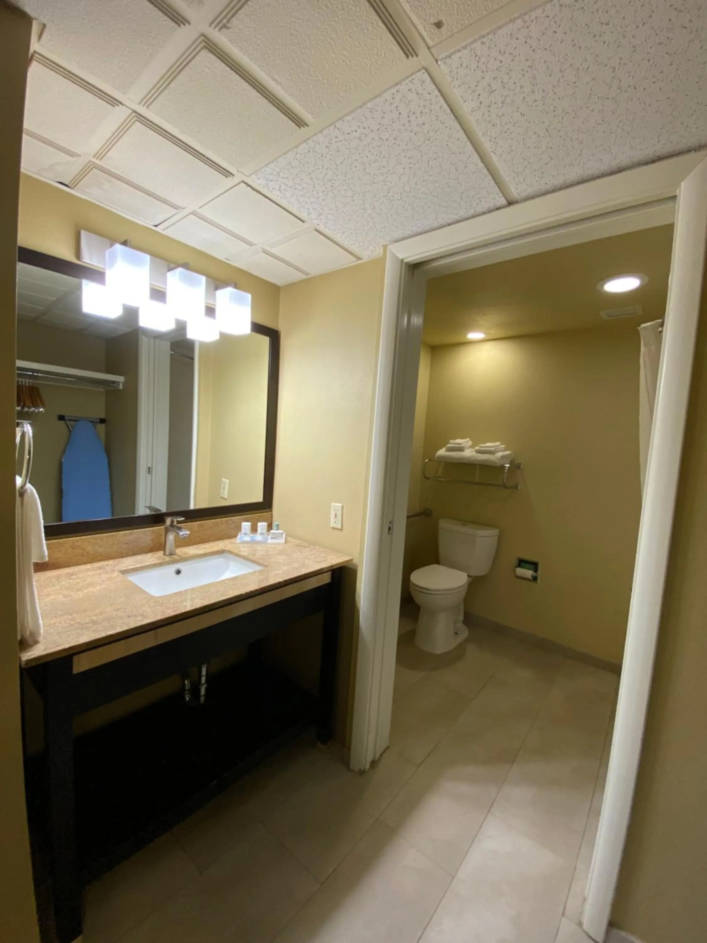 Toilet in Pagosa Lodge