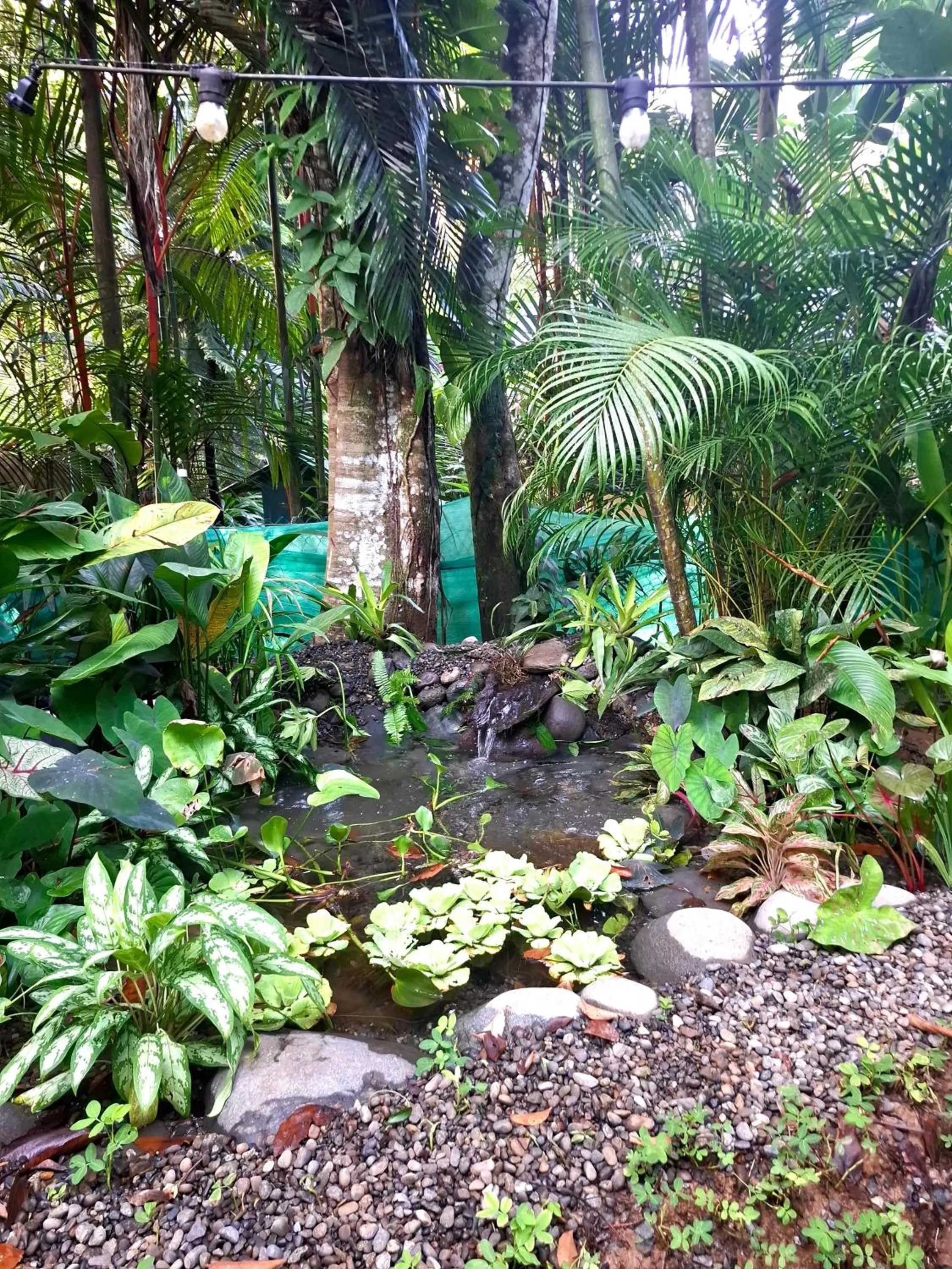 Property building in El Jardin de Playa Negra