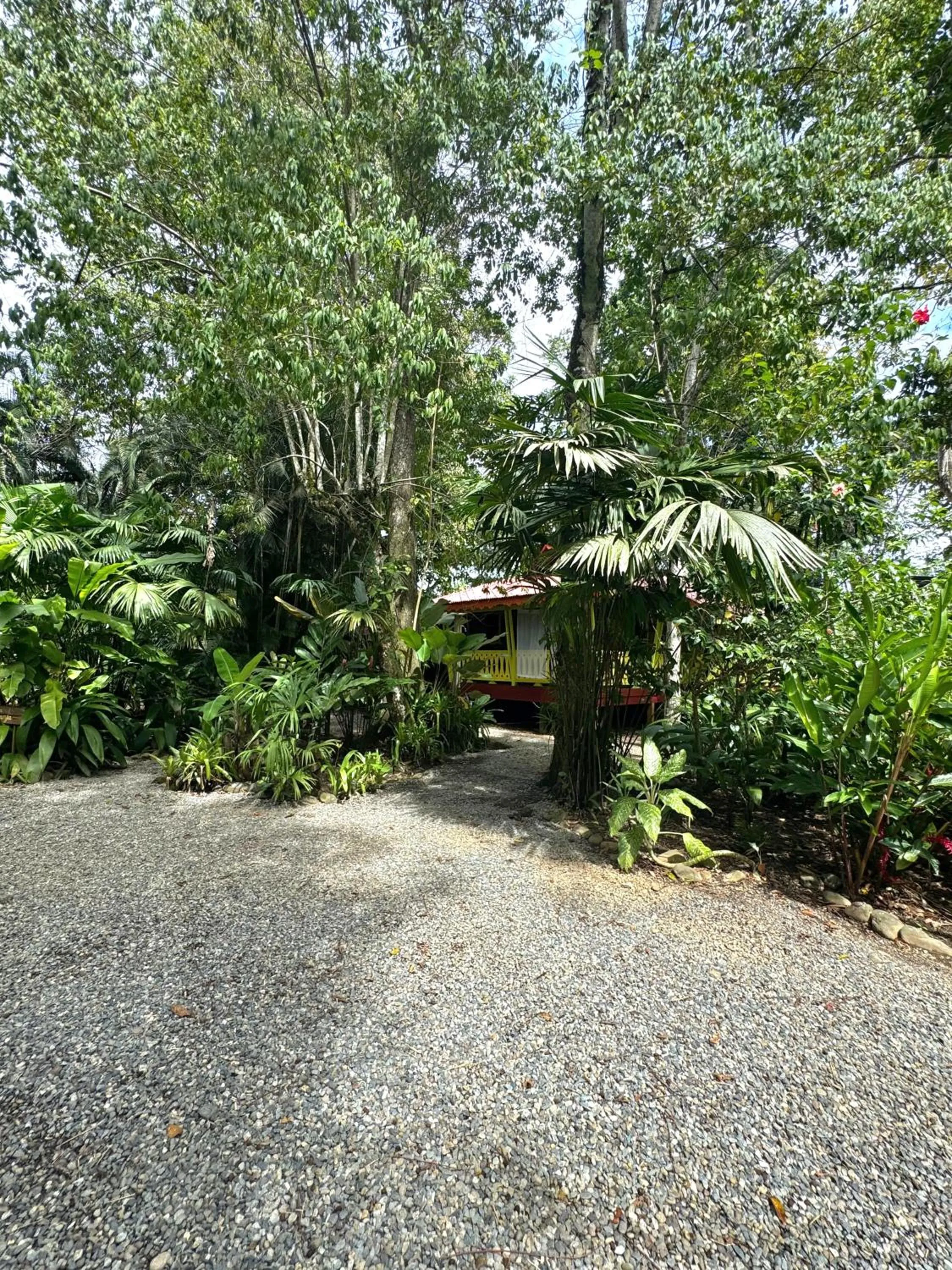 Parking in El Jardin de Playa Negra
