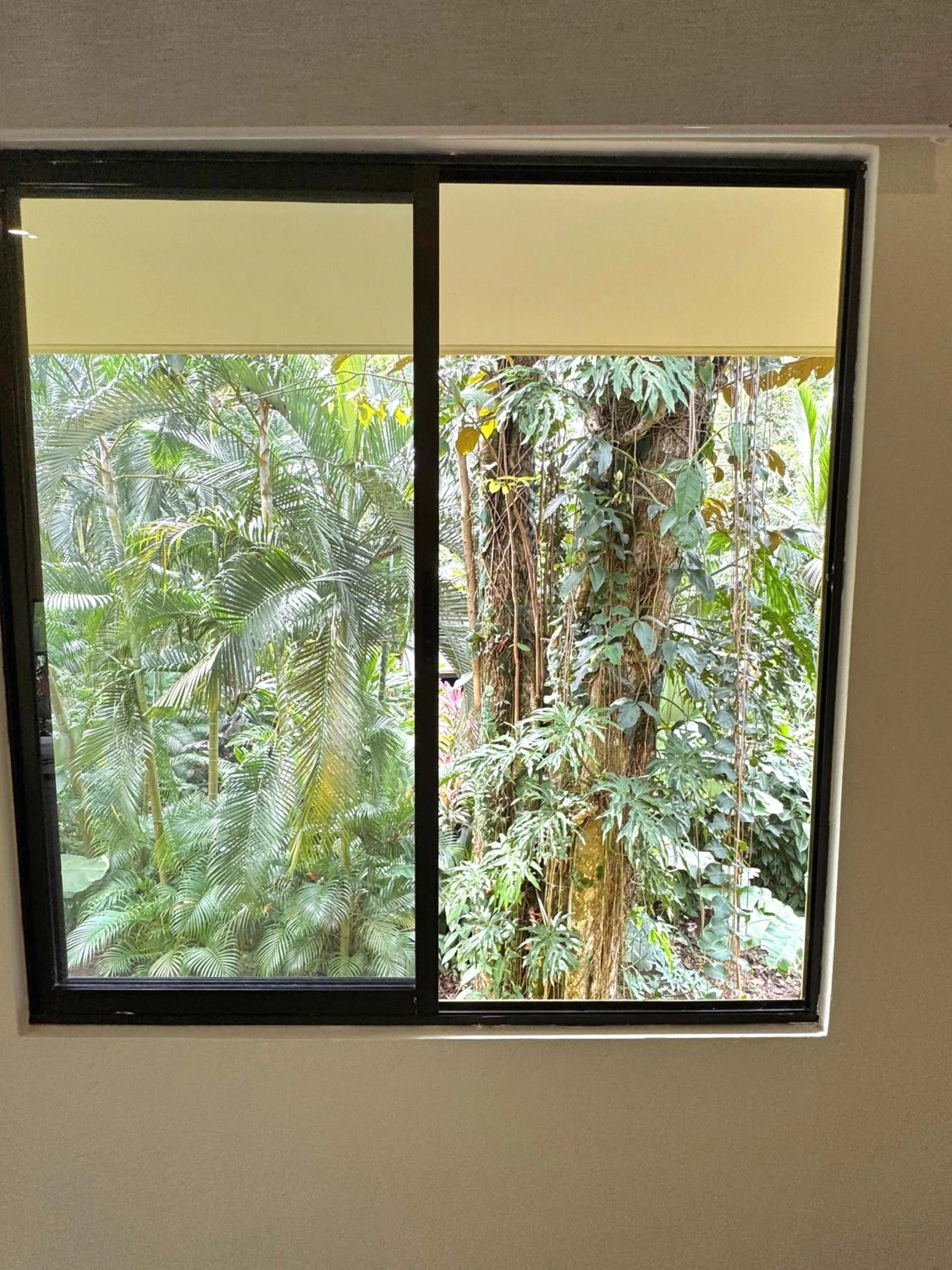 View (from property/room) in El Jardin de Playa Negra