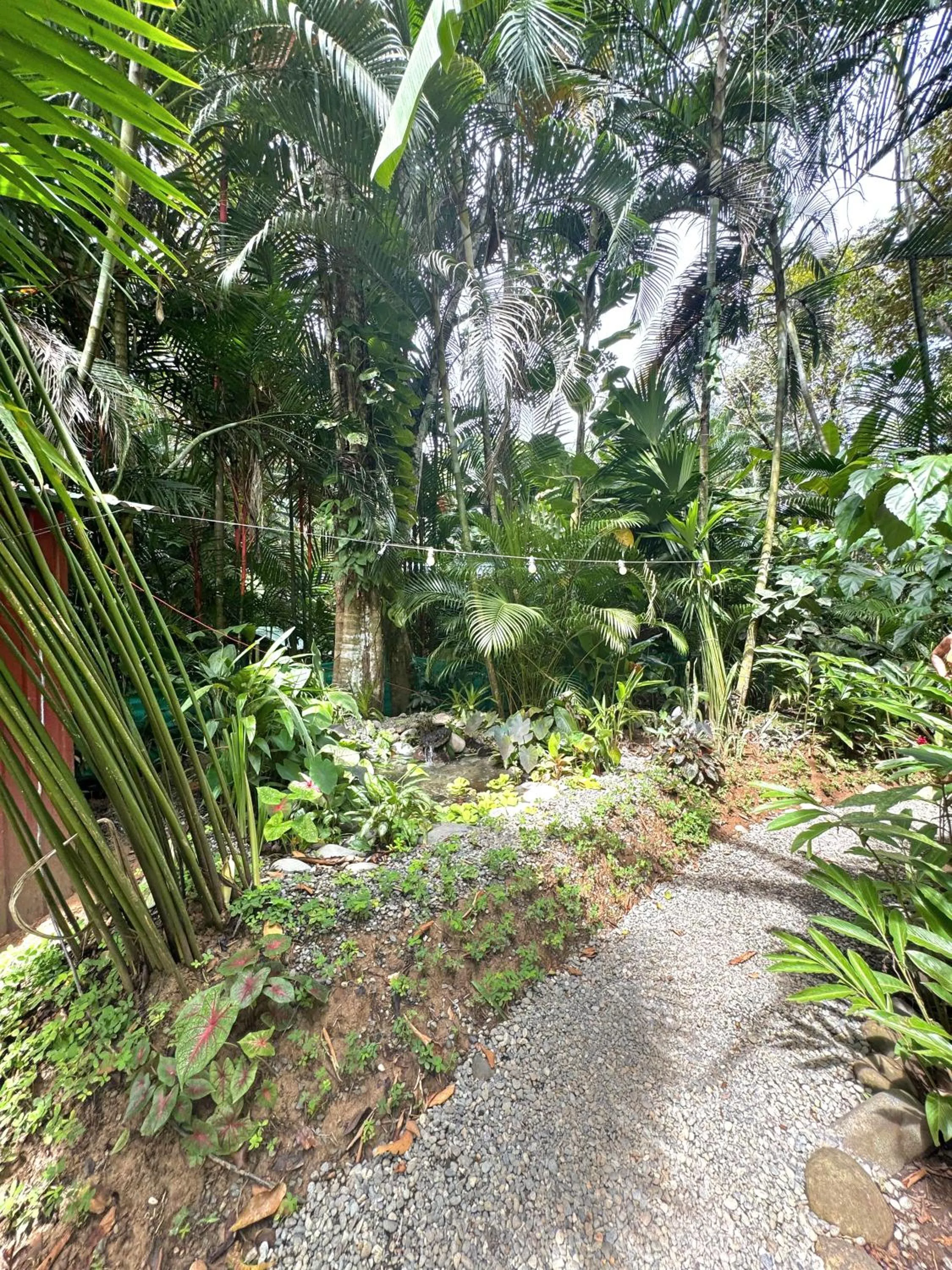 Garden view in El Jardin de Playa Negra