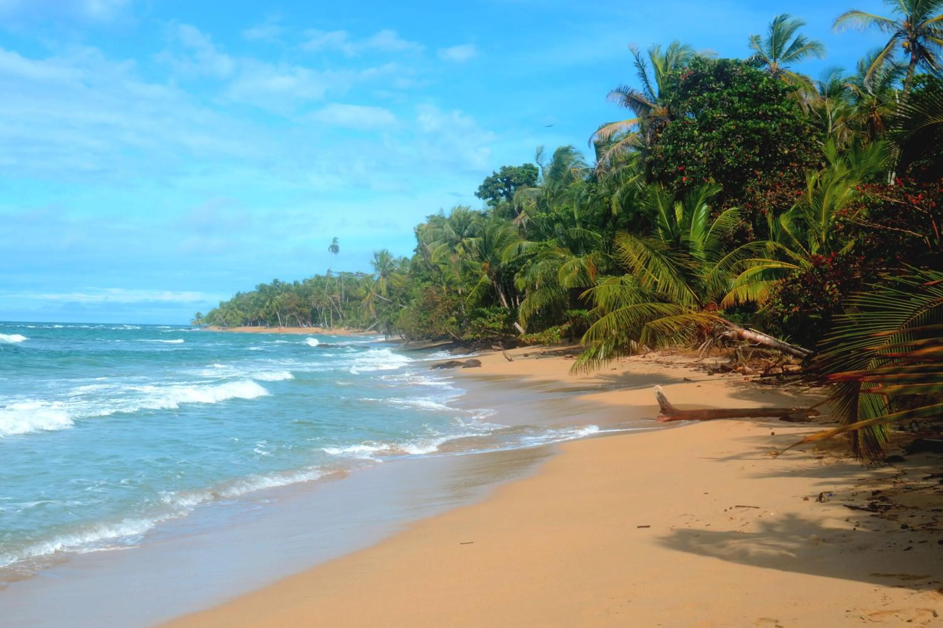 Beach in El Jardin de Playa Negra