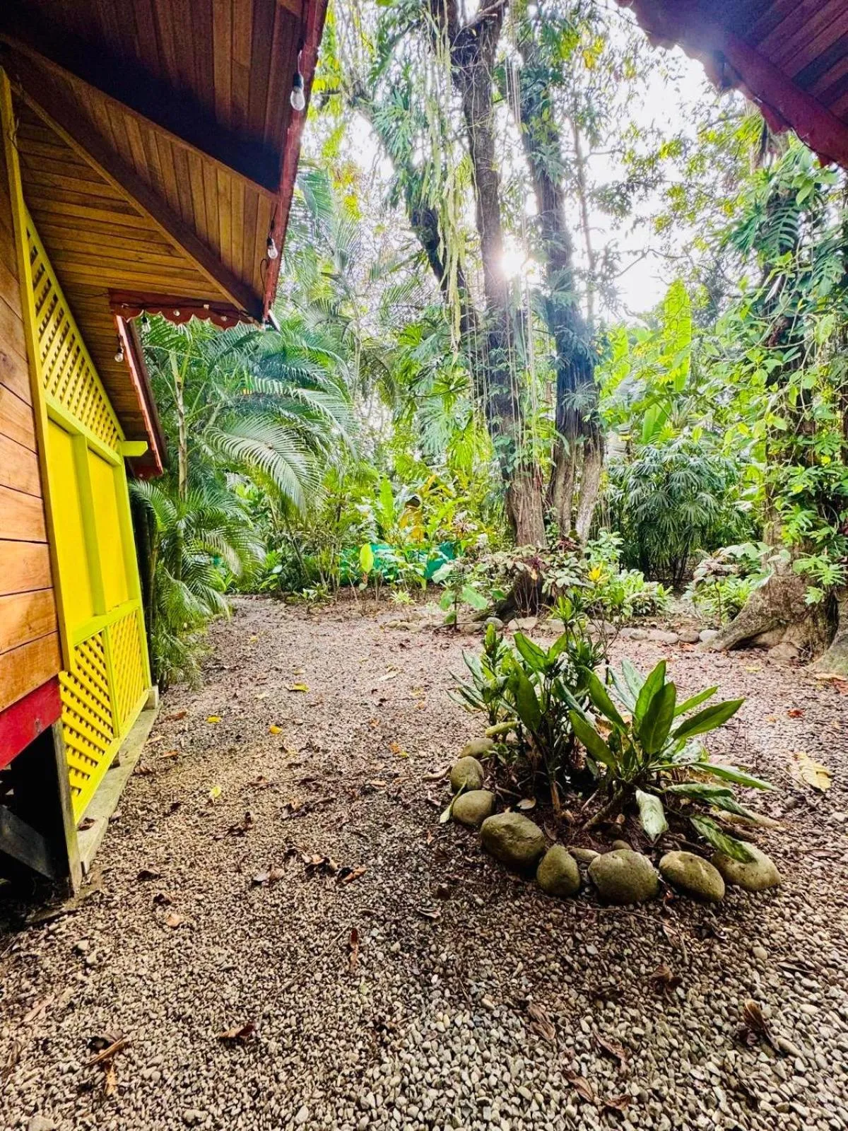 Property building in El Jardin de Playa Negra