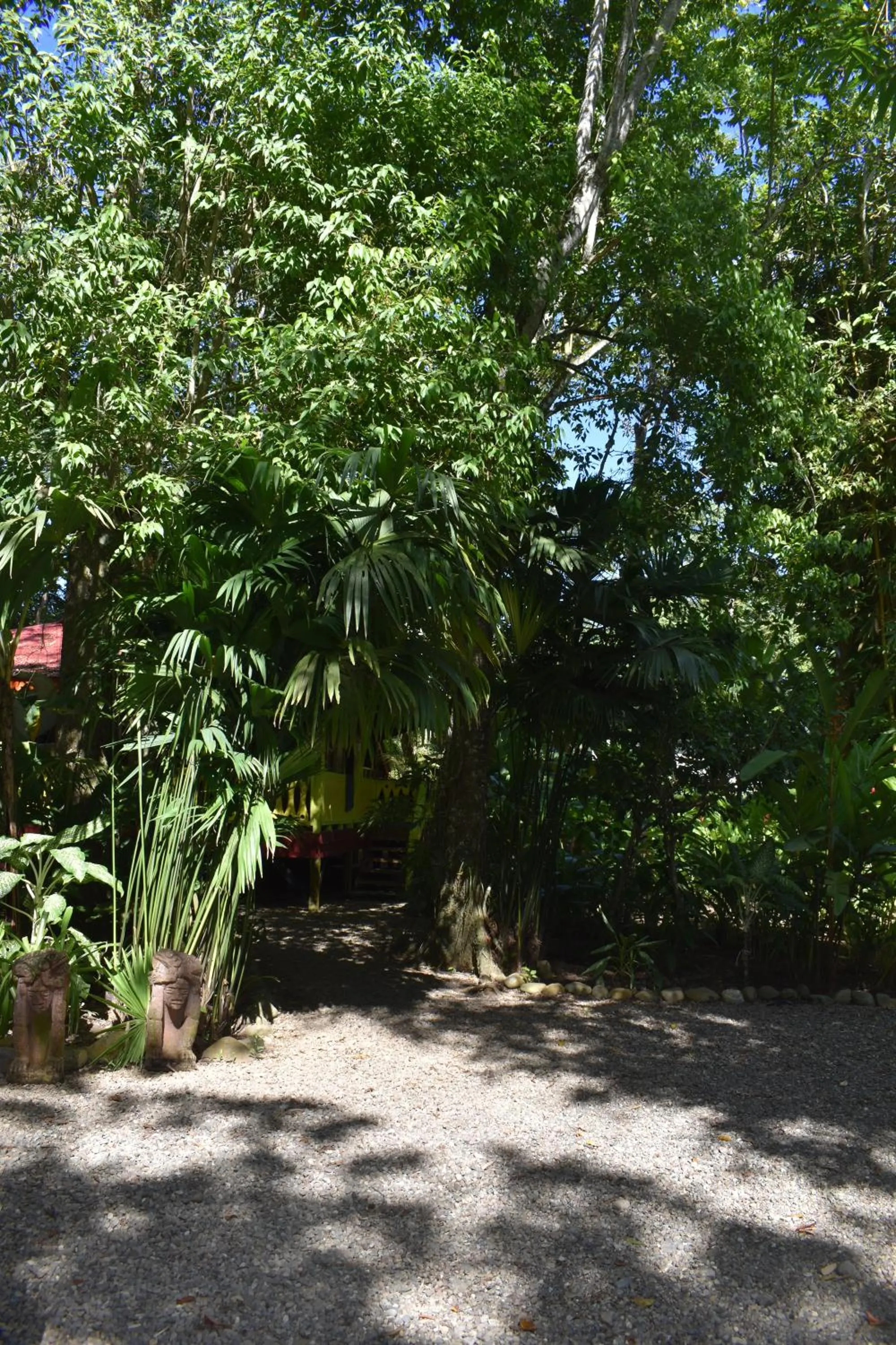 Parking in El Jardin de Playa Negra