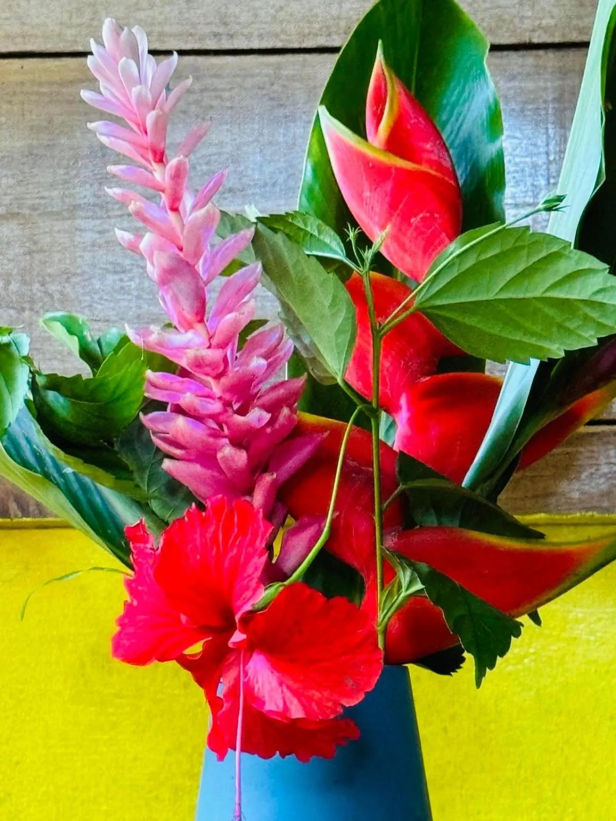 Other in El Jardin de Playa Negra