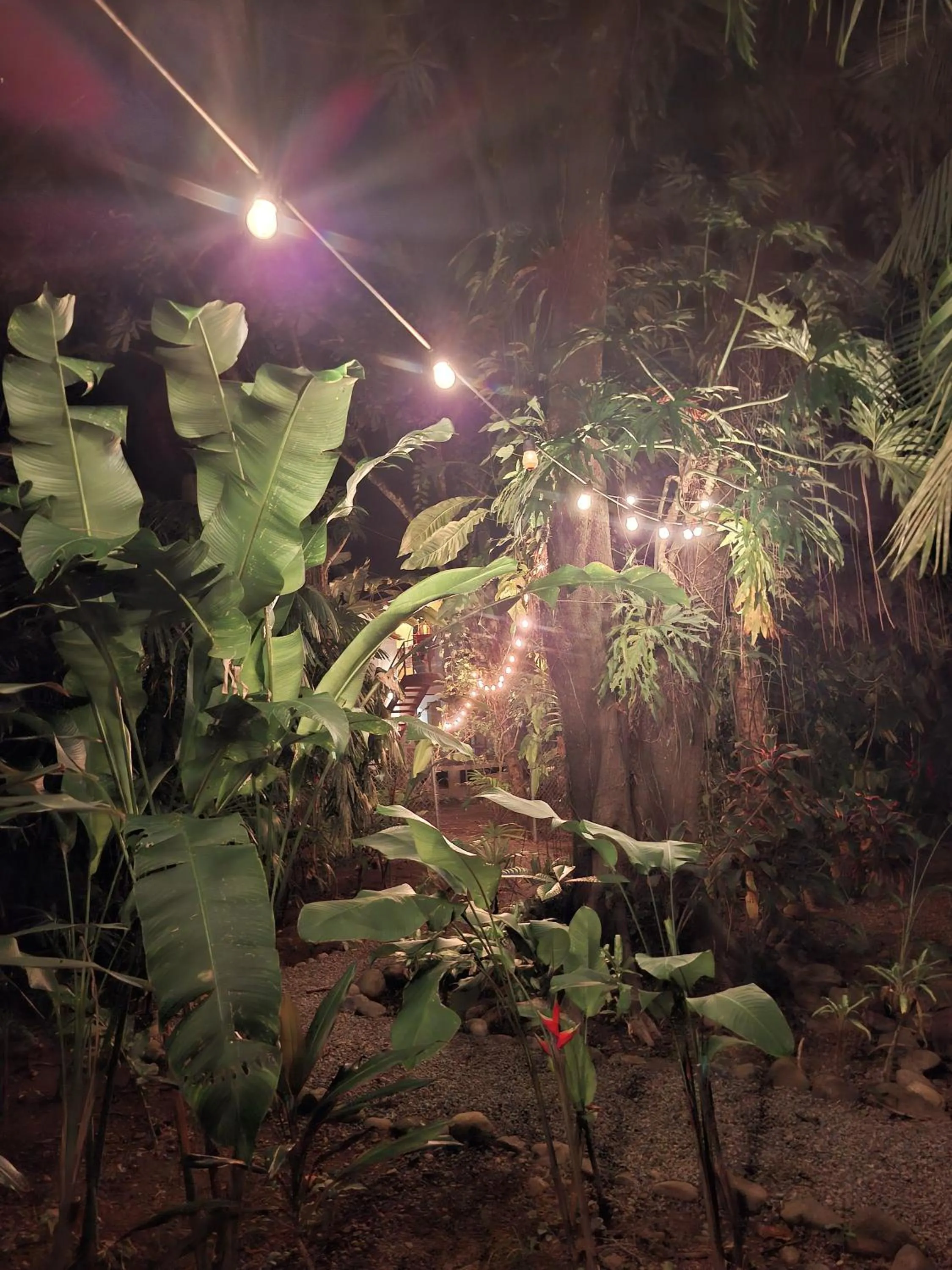 Night in El Jardin de Playa Negra