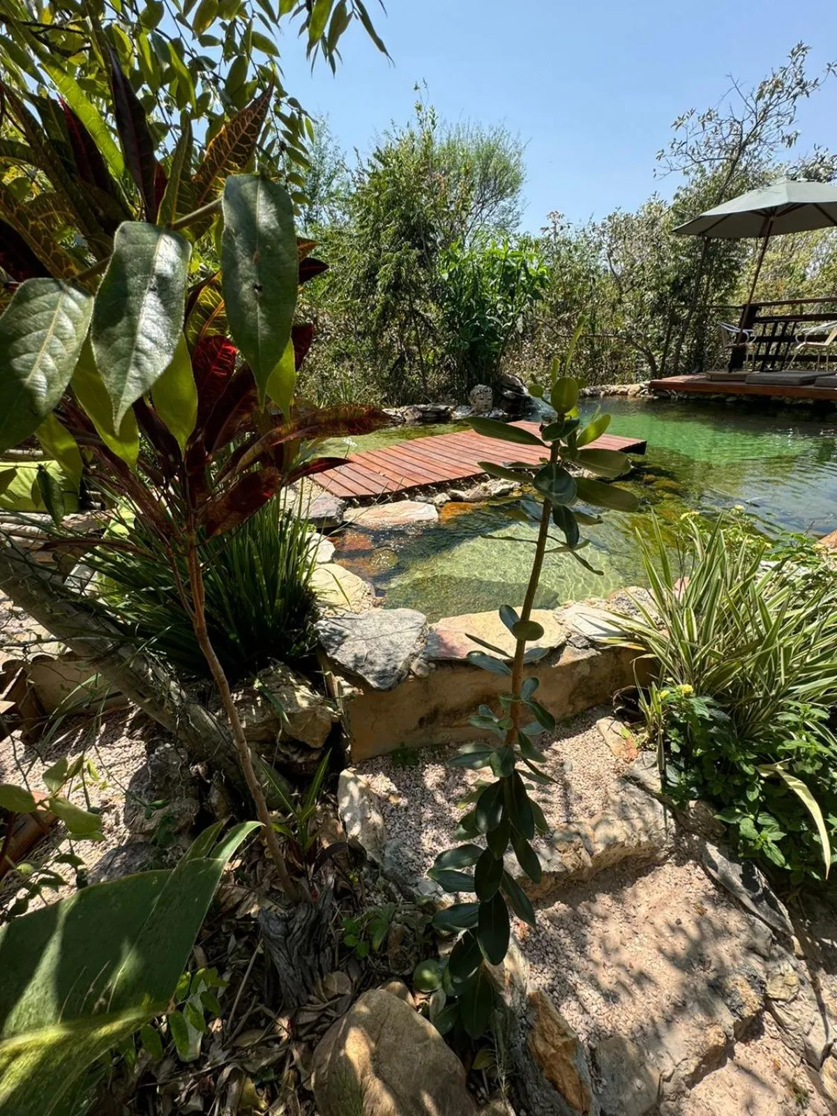 Swimming pool in Vila Abaton