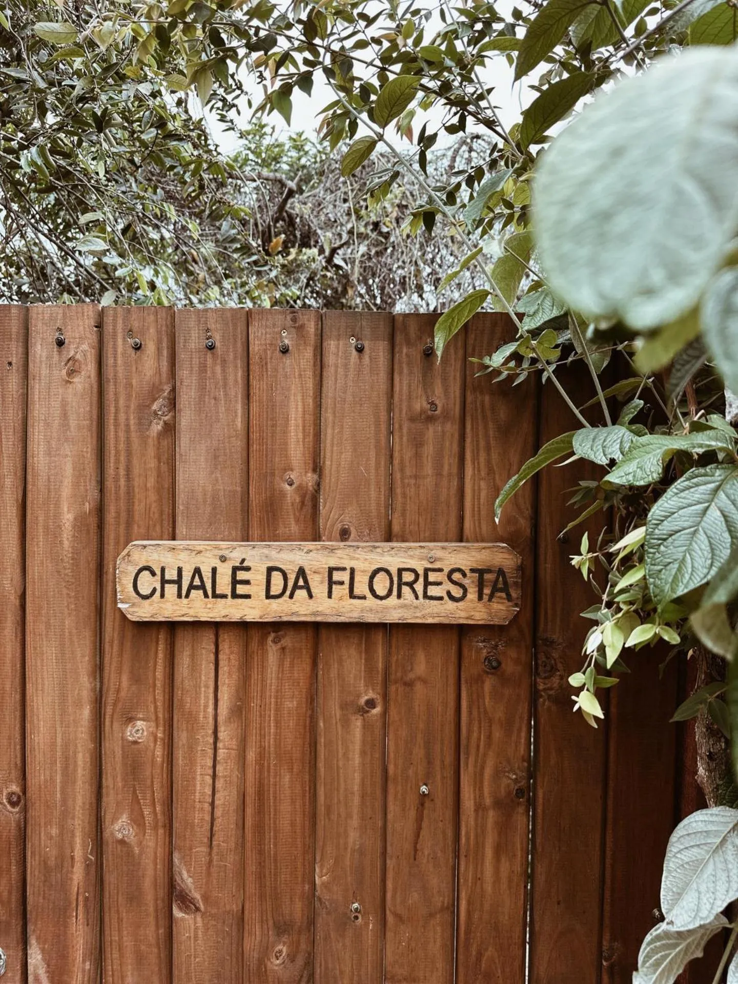 Shower in Vila Abaton