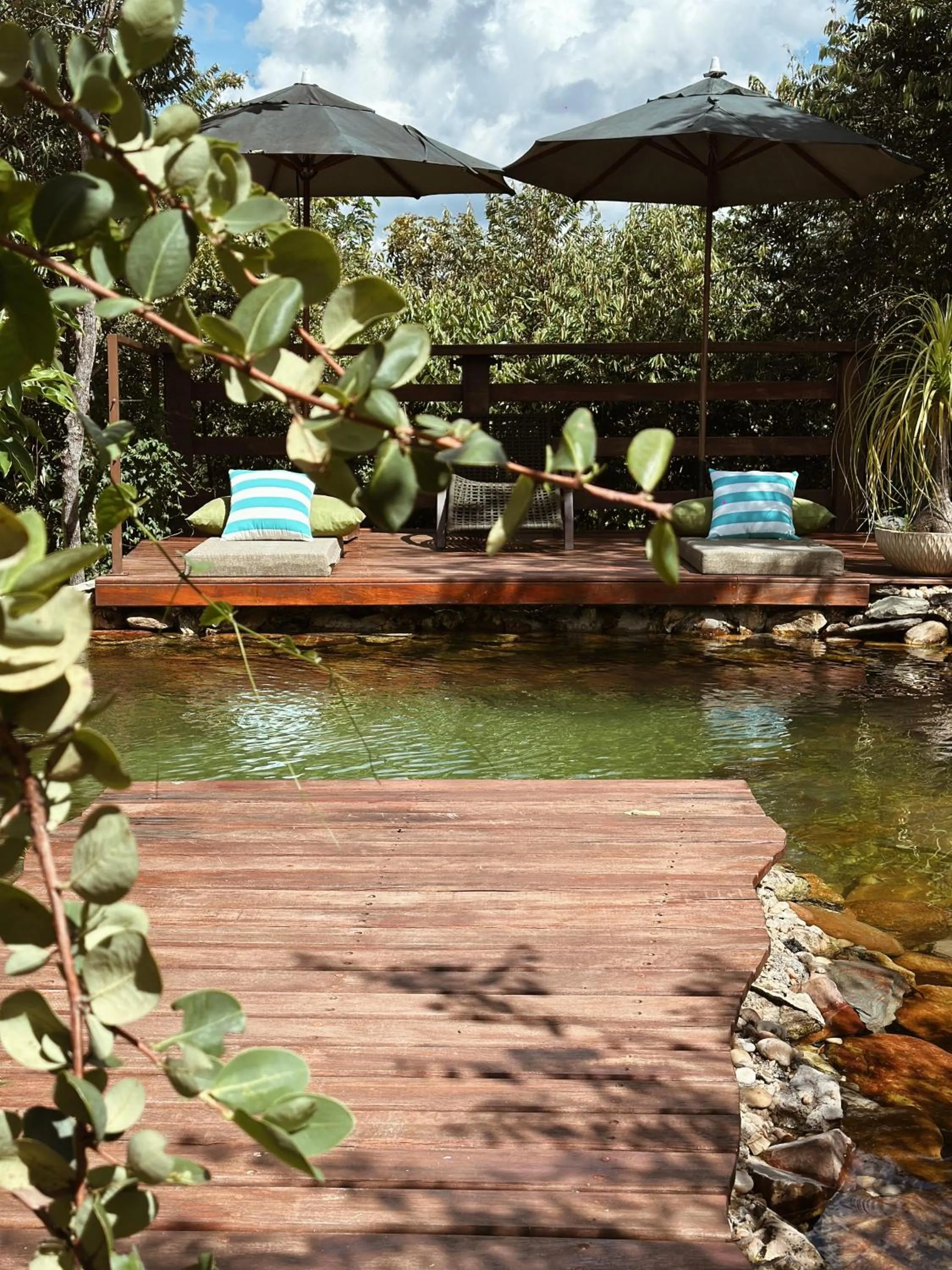 Garden view in Vila Abaton