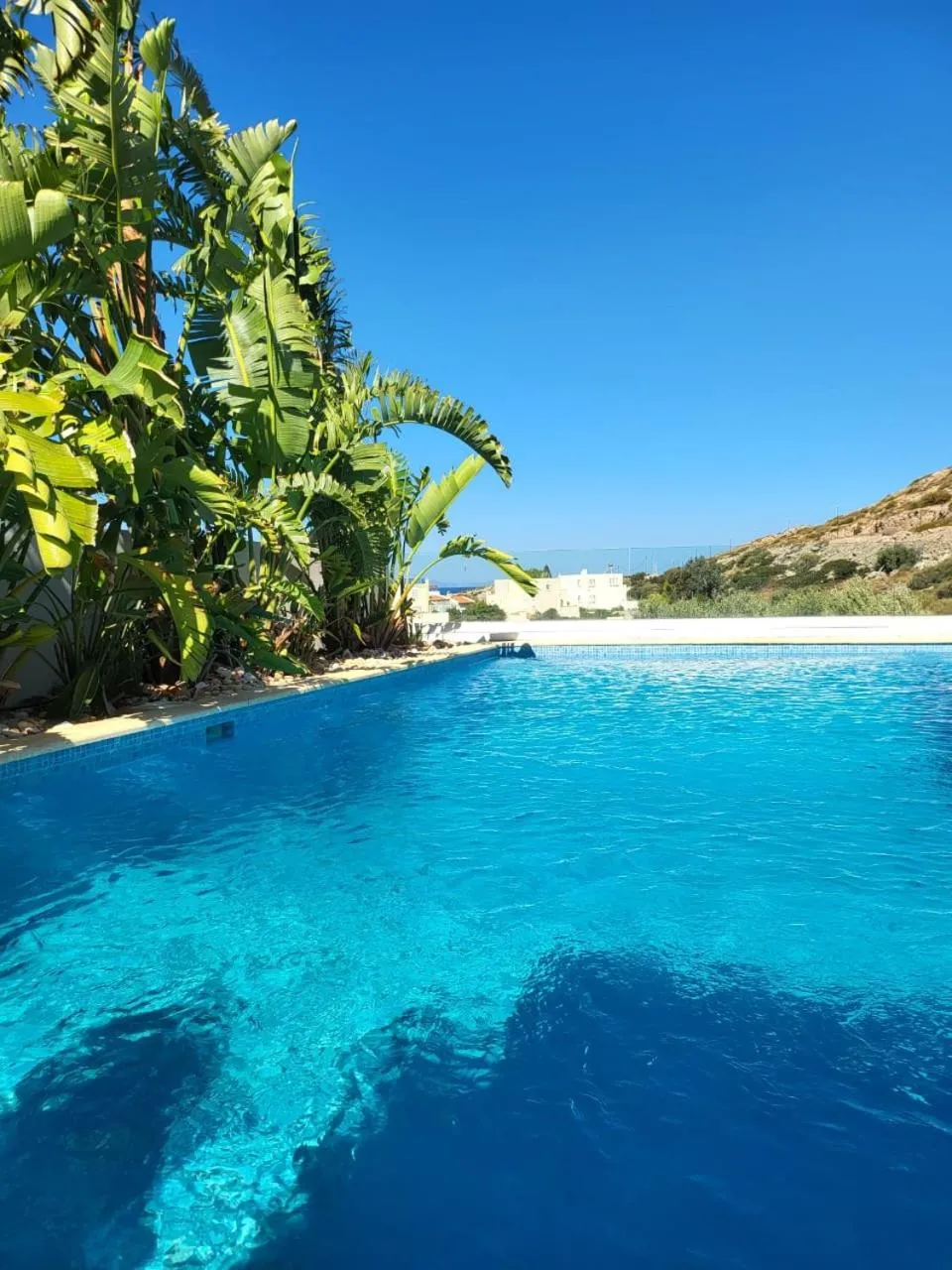 Pool view in Villa Solaris