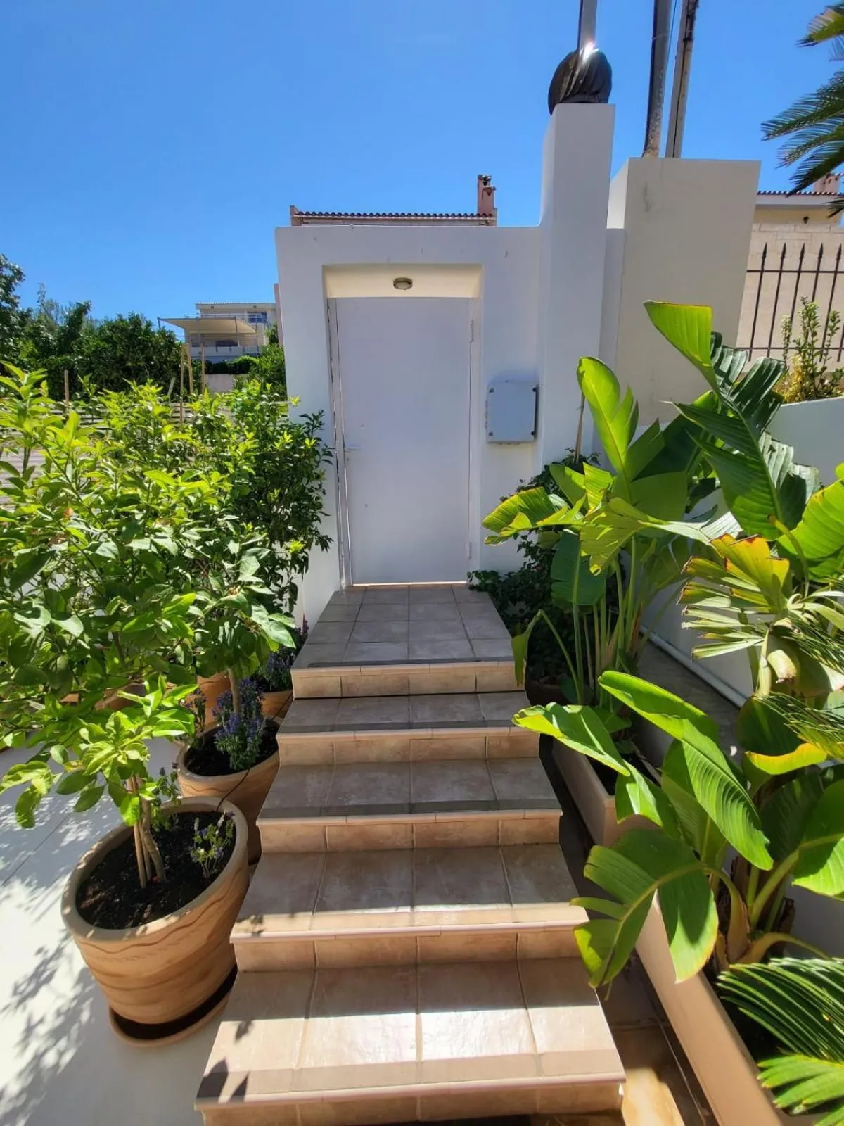 Garden in Villa Solaris
