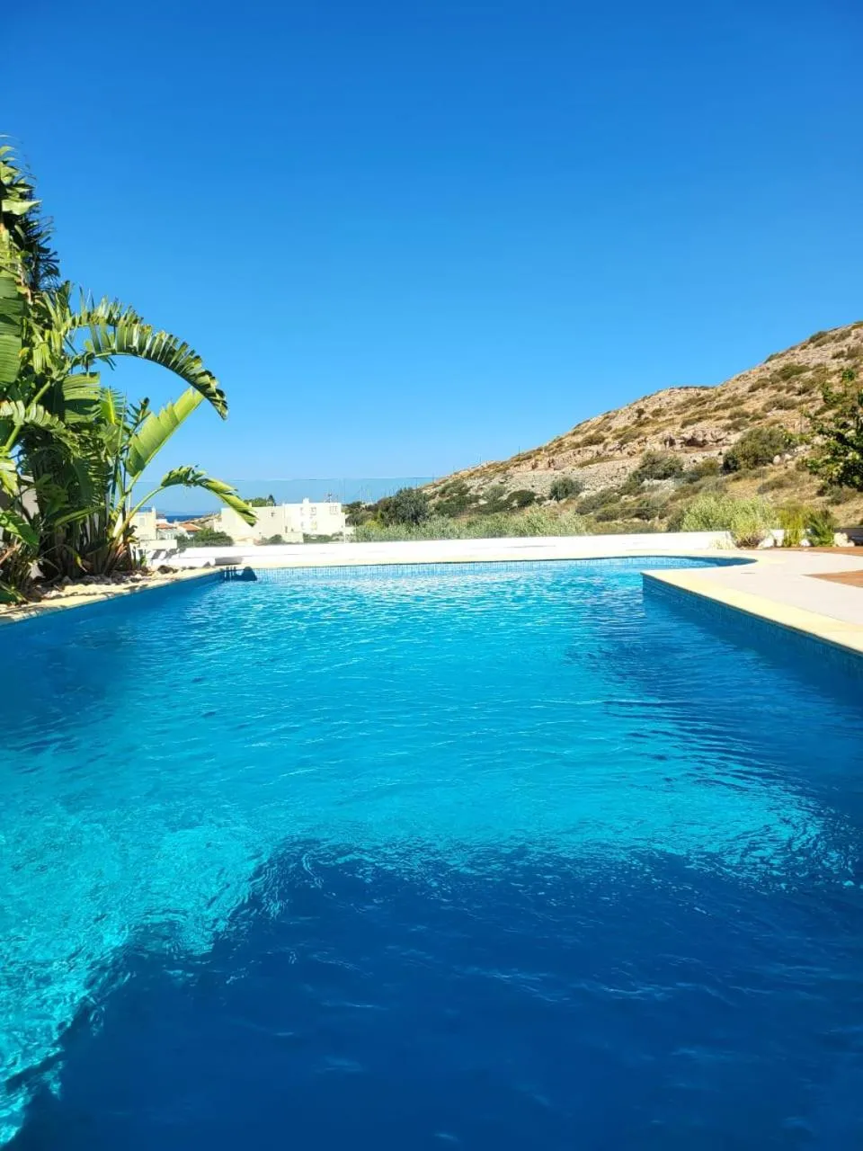 Pool view in Villa Solaris
