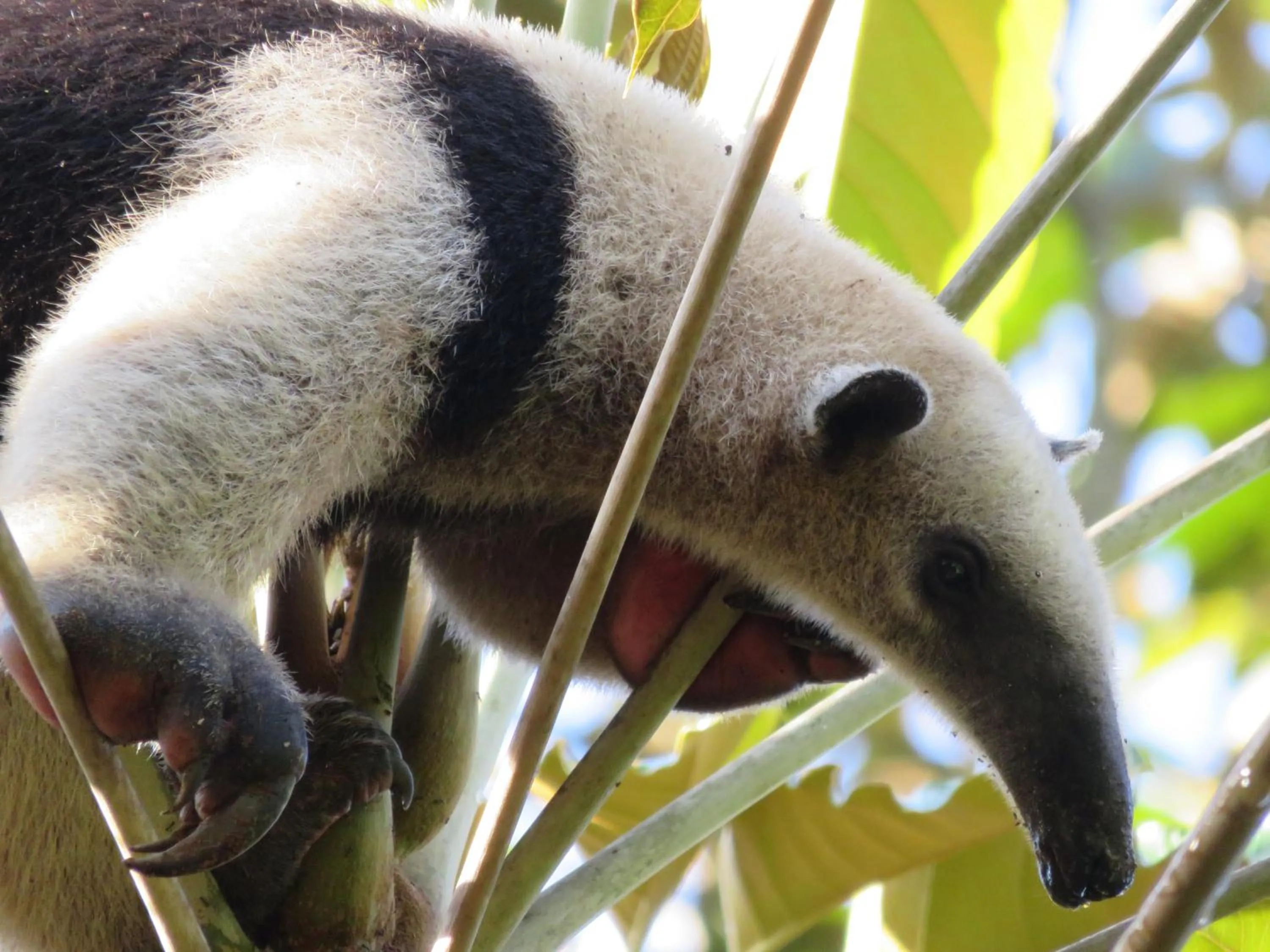Other in Oasis de las Palmas