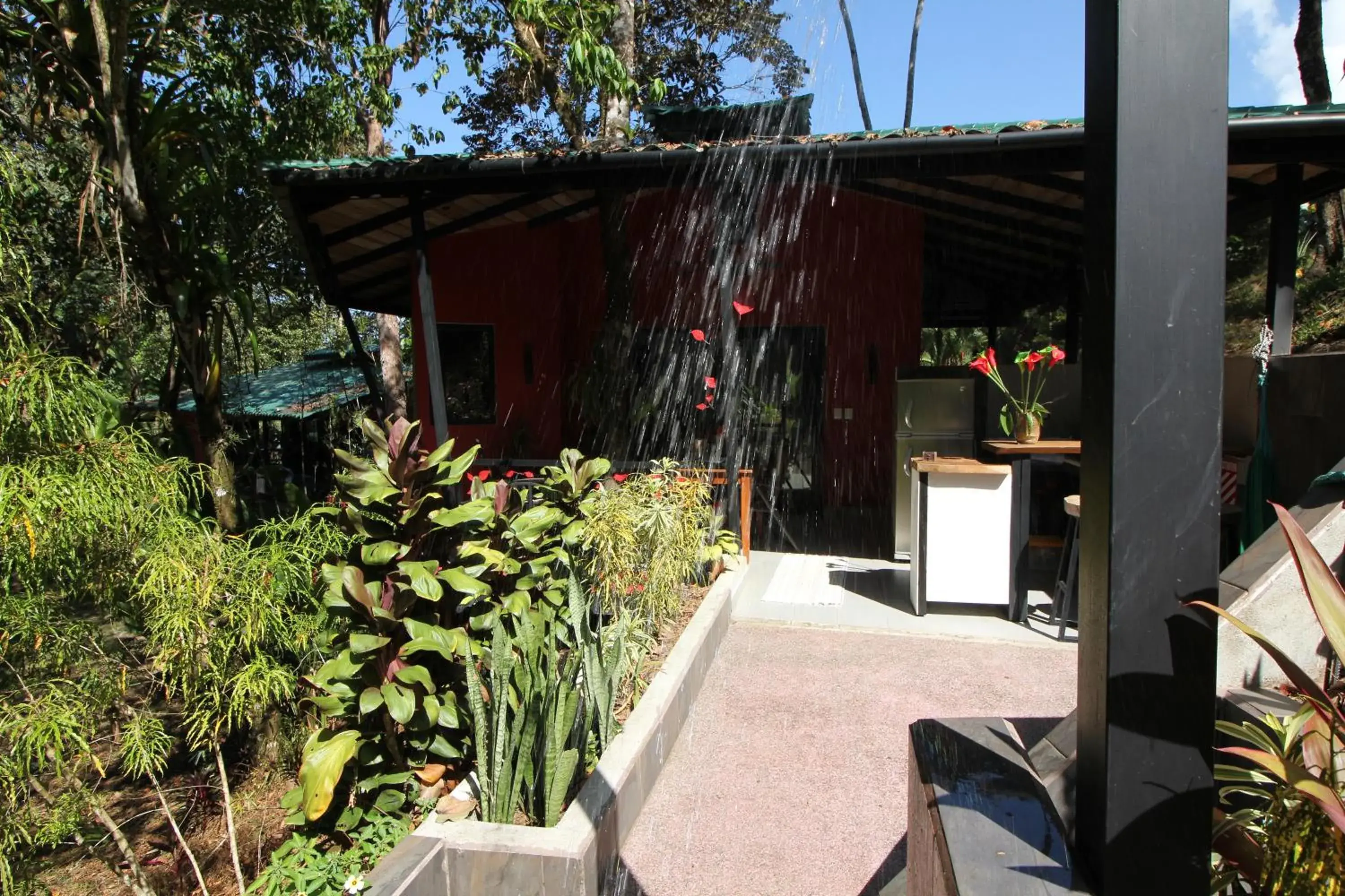 Oasis de las Palmas Oasis de las Palmas