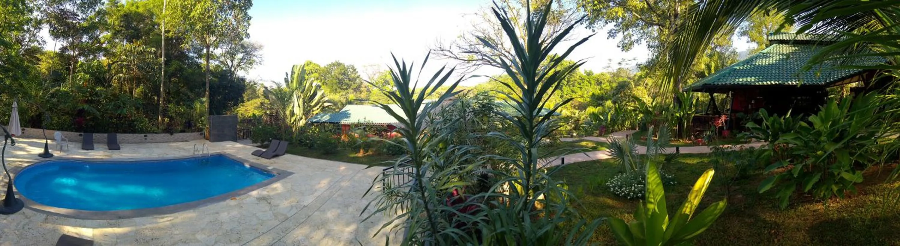 Swimming pool in Oasis de las Palmas